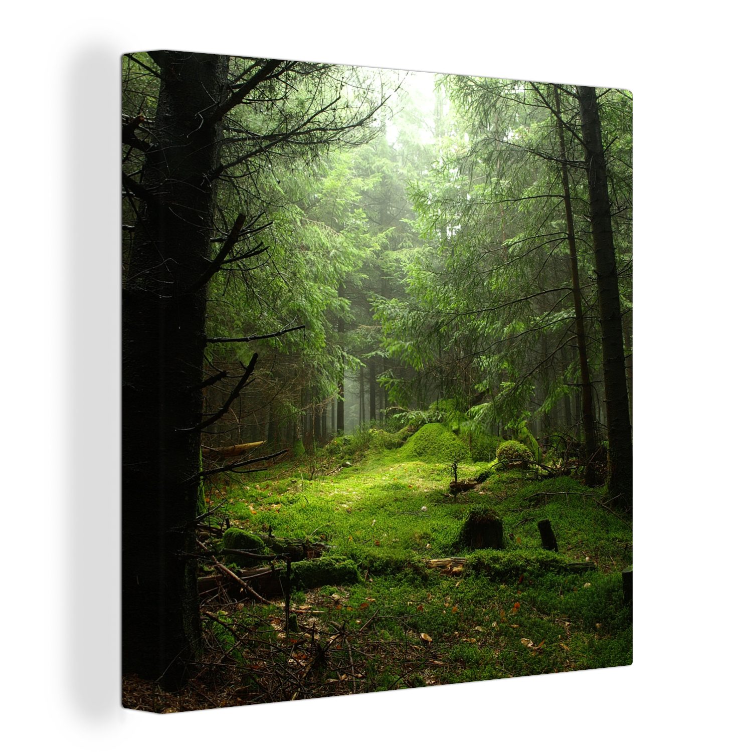 OneMillionCanvasses® Leinwandbild Frankreich - Wald - Moos, (1 St), Leinwand Bilder für Wohnzimmer Schlafzimmer