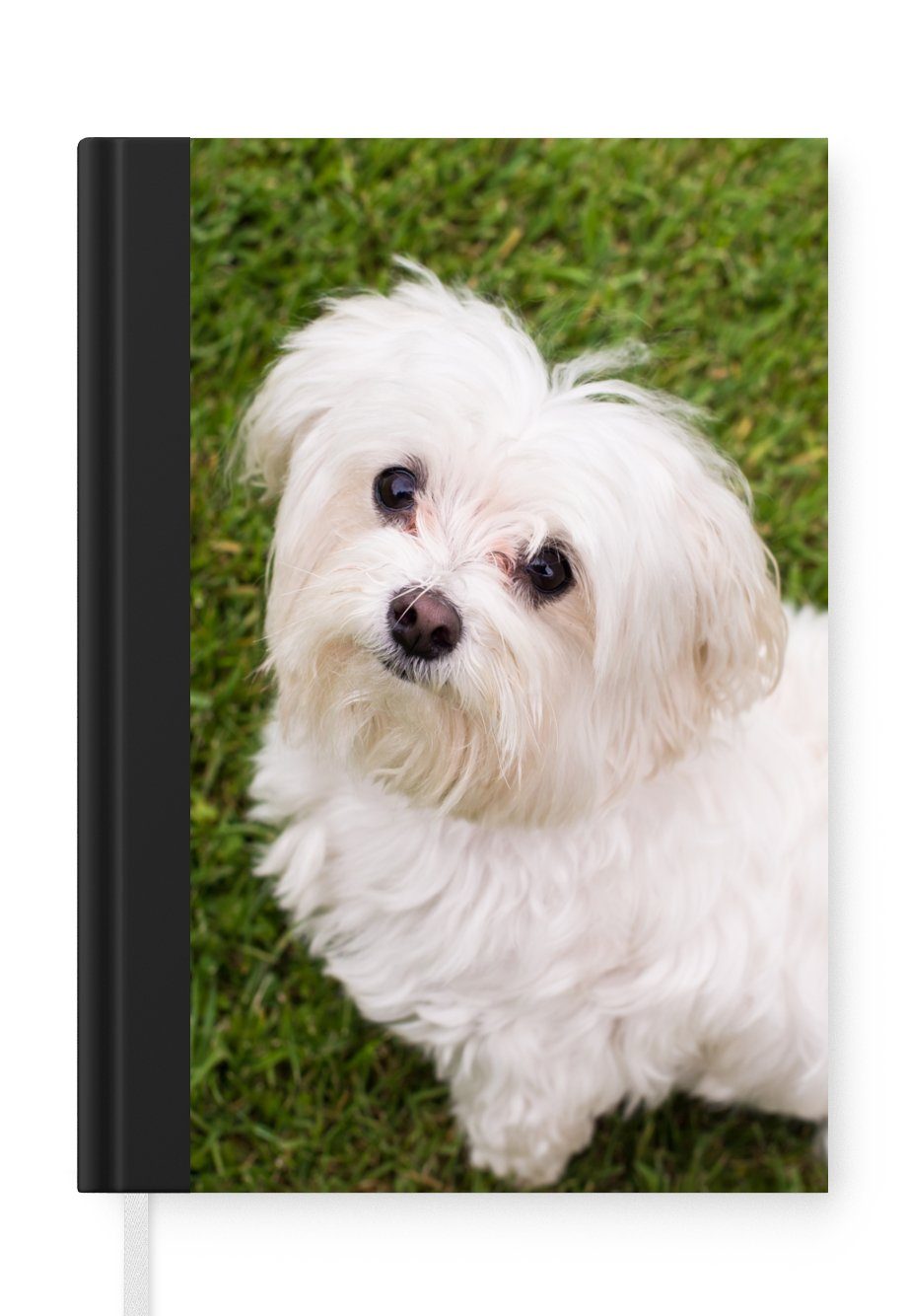 MuchoWow Notizbuch Malteserhund schaut auf, Journal, Merkzettel, Tagebuch, Notizheft, A5, 98 Seiten, Haushaltsbuch