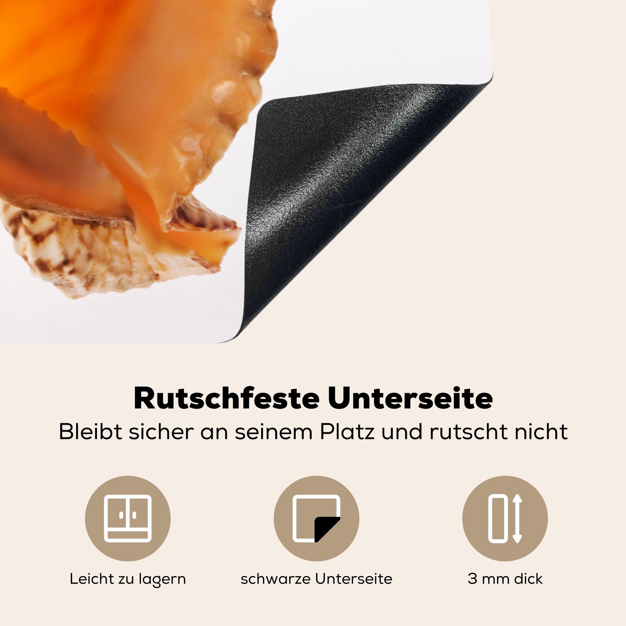 Meer für Induktionskochfeld die Muschel Schutz (1 Ceranfeldabdeckung MuchoWow - Vinyl, küche, 81x52 cm, Herdblende-/Abdeckplatte - Strand, tlg),