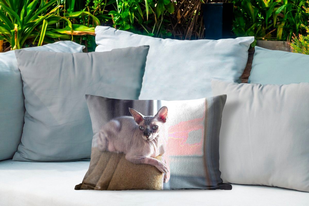 Dekokissen Stuhl Sphynx-Katze Outdoor-Dekorationskissen, auf einem Dekokissenbezug, liegend, Polyester, Kissenhülle MuchoWow