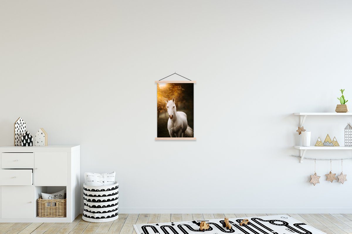 MuchoWow Poster Pferd - Licht - Sonne, (1 St), Posterleiste, Textilposter für Wohnzimmer, Bilderleiste, Magnetisch