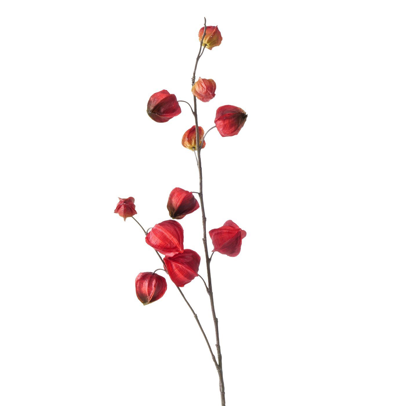 Kunstzweig Dekozweig Physalis, Gelb/Orange oder Rot, günstig online kaufen