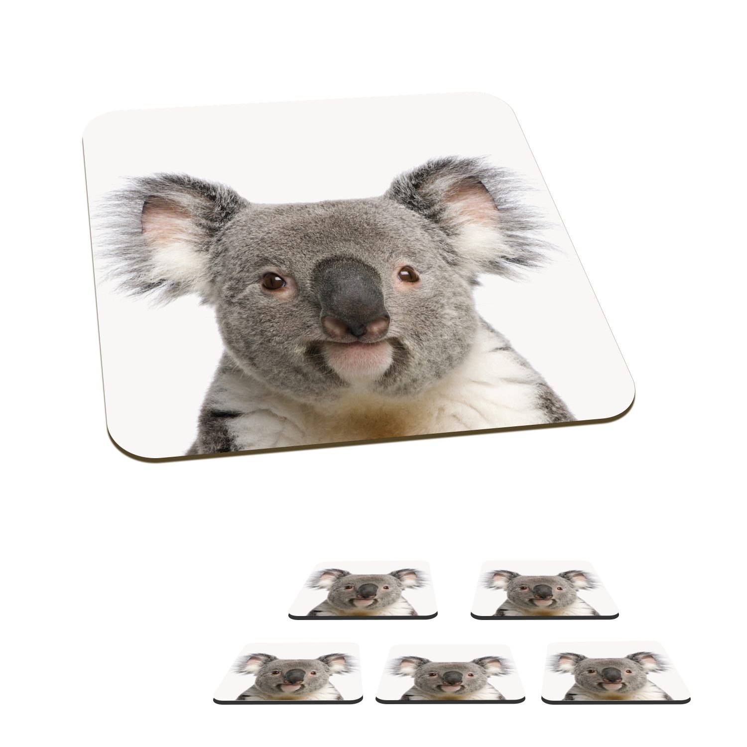 Koala - Glasuntersetzer Untersetzer, Korkuntersetzer, Tischuntersetzer, Bär für Gläser, Tiere, - - Tasse Jungen Koala Glasuntersetzer, MuchoWow 6-tlg., - Mädchen Zubehör