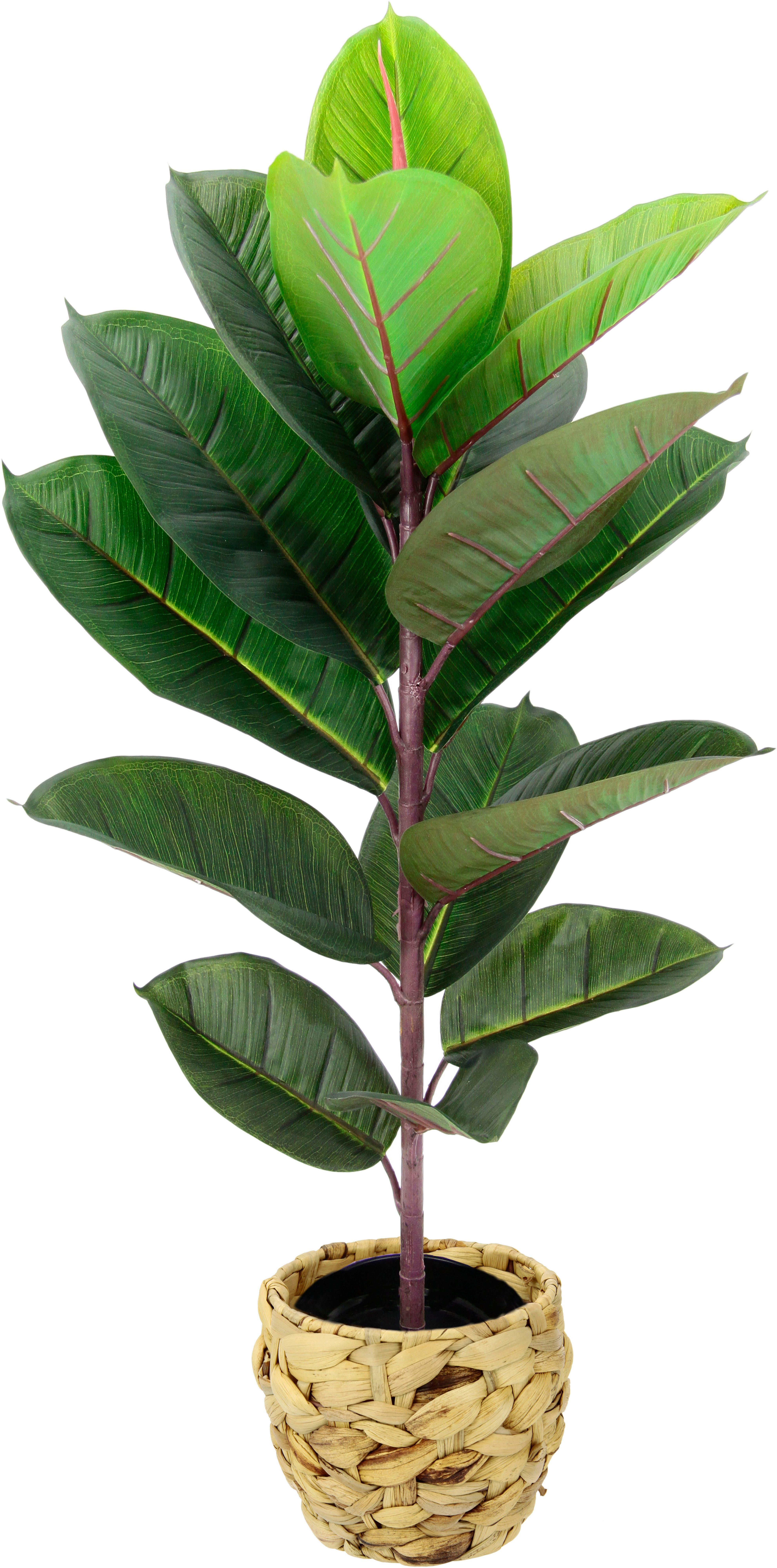 Kunstbaum Gummibaum, I.GE.A., Höhe 84 cm, Mit Übertopf, Ficus Elastica