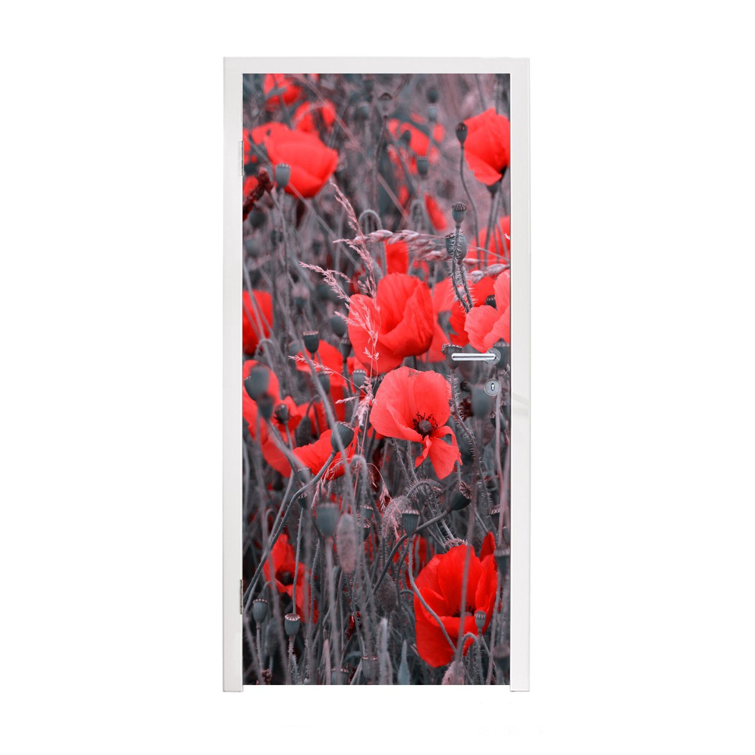 MuchoWow Türtapete Rote Mohnblumen in einem Schwarz-Weiß-Bild, Matt, bedruckt, (1 St), Fototapete für Tür, Türaufkleber, 75x205 cm