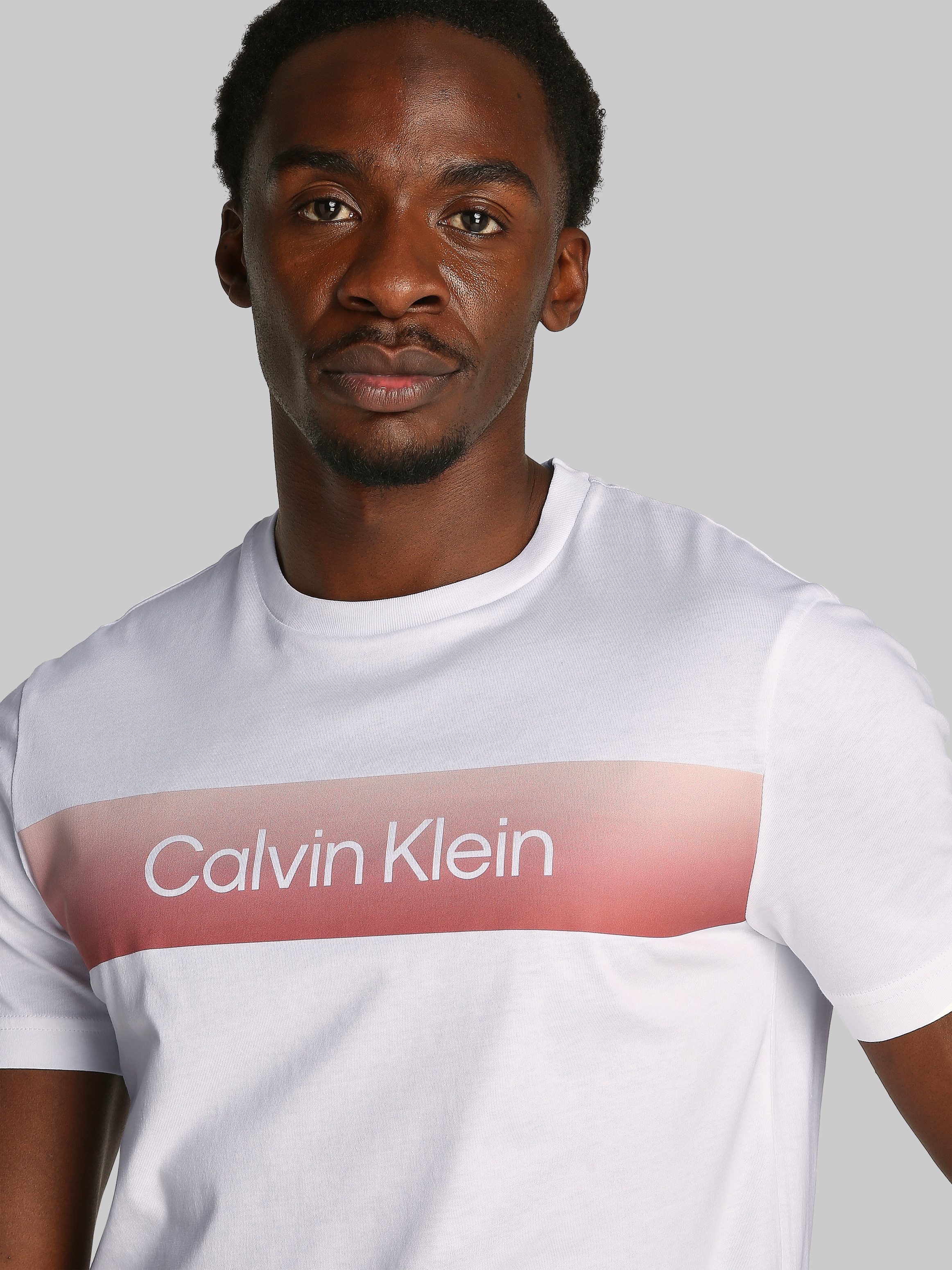 Calvin Klein T-Shirt LINEAR OMBRE CHEST günstig online kaufen