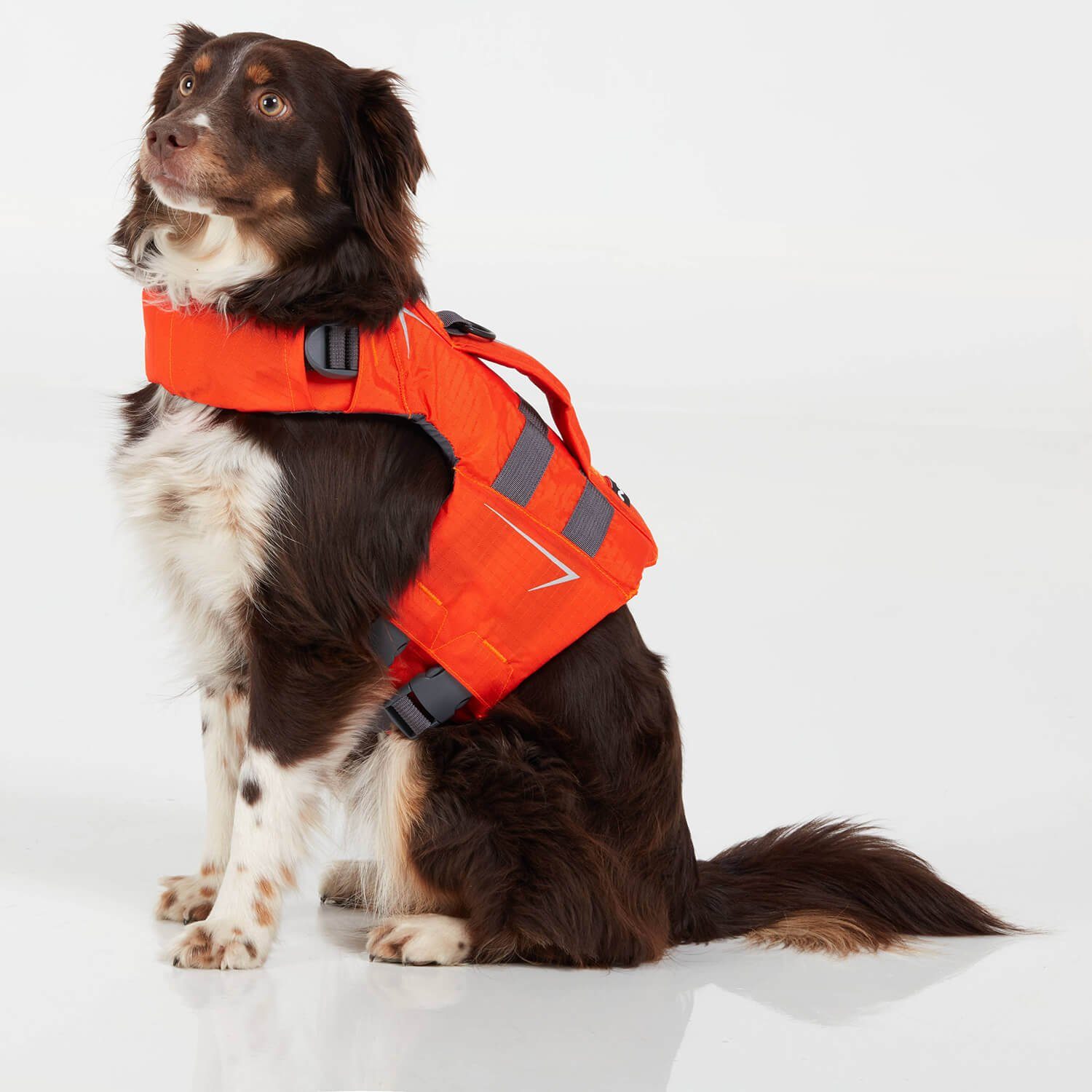 für Schwimmweste NRS Hunde Schwimmweste CFD NRS