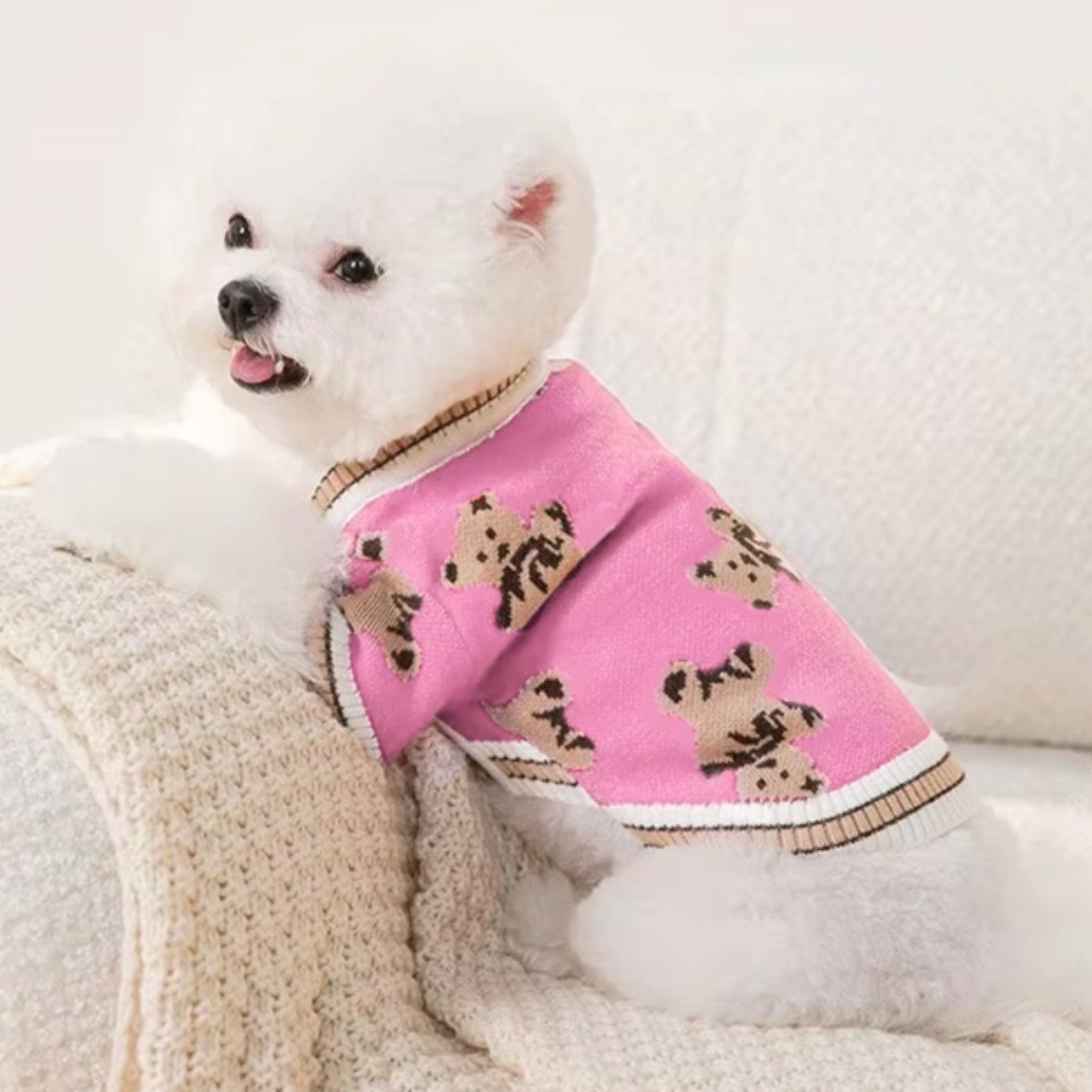 FLOCKI Pets™ Hundepullover Hunde Strickpullover, für Hunde in verschiedenen Größen, niedliches Teddy-Bär Design
