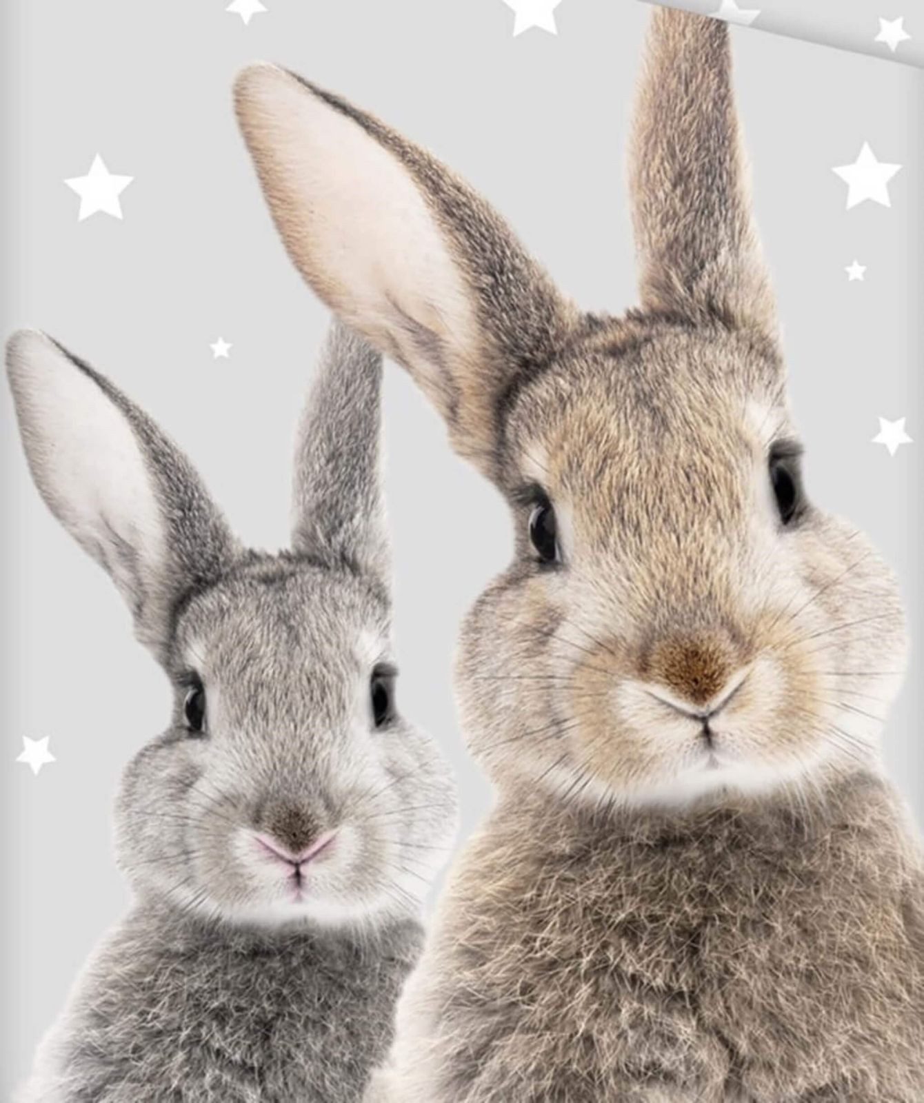 Jerry Fabrics Bettwäsche Hase Häschen - Bettwäsche-Set mit Kaninchen-Motiv, günstig online kaufen