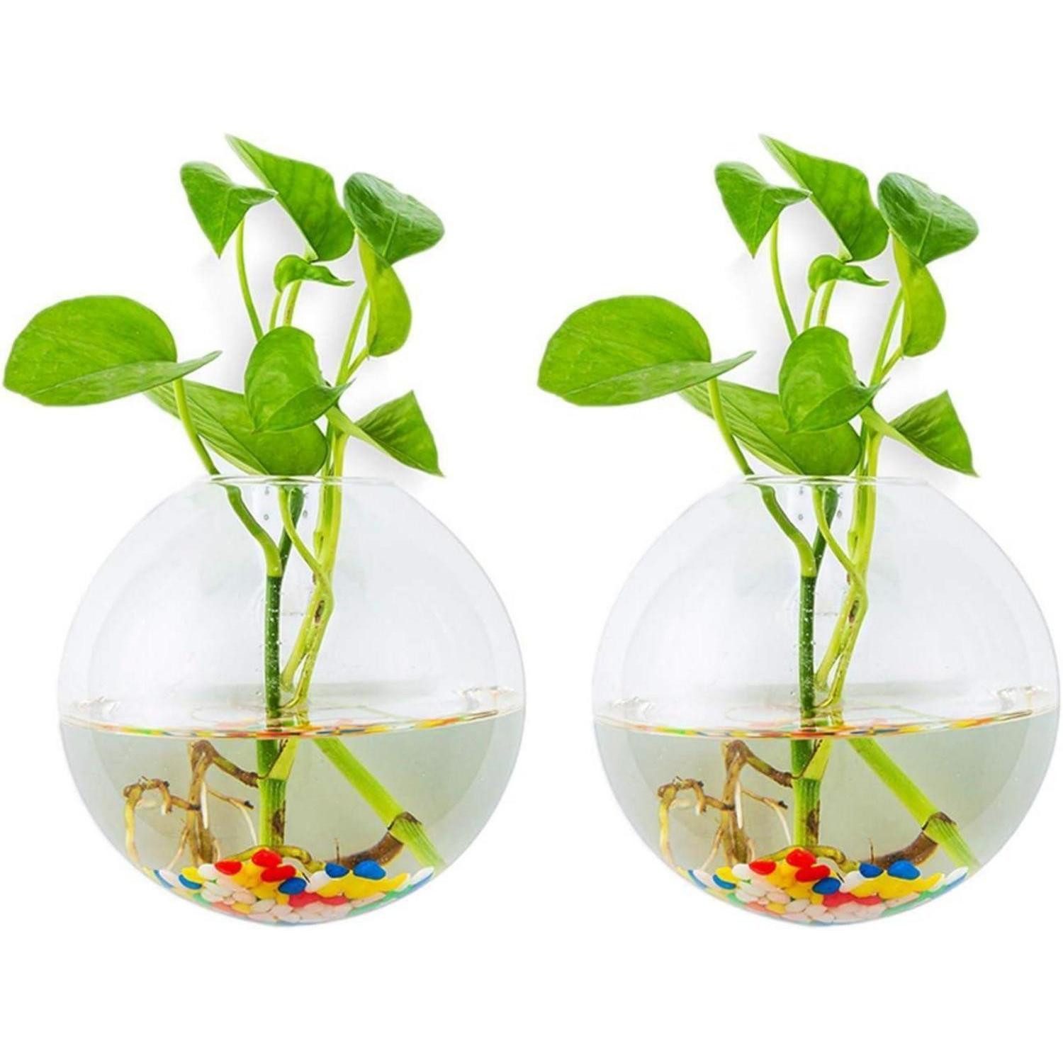 LuxusKollektion Blumentopf Wandbehang Glas Pflanzgefäße 2Stk. Sphärische Form Terrarium Vase