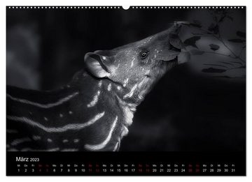 CALVENDO Wandkalender Faszination schwarz-weiß - Die Tierwelt muss nicht immer farbig sein (Premium, hochwertiger DIN A2 Wandkalender 2023, Kunstdruck in Hochglanz)
