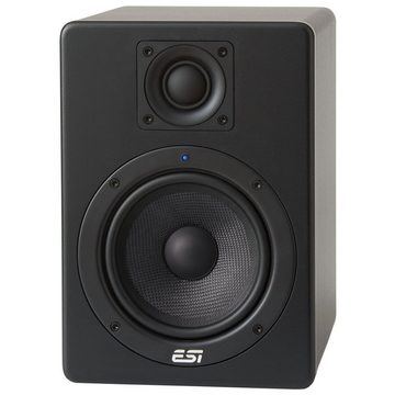 ESI -Audiotechnik Aktiv 05 2 PC-Lautsprecher (1 Paar, 120 W, mit Boxenständern)