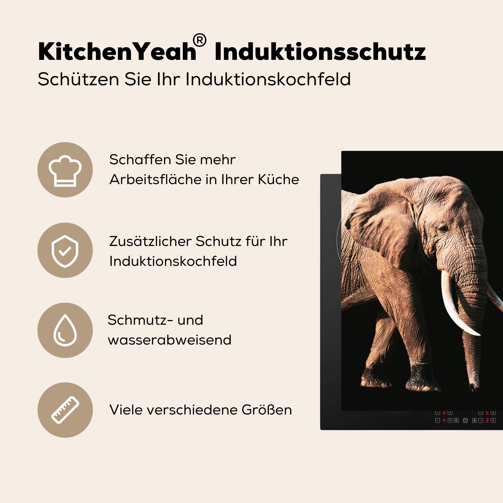 MuchoWow Herdblende-/Abdeckplatte Elefant - Zähne cm, - (1 Tiere, Vinyl, Ceranfeldabdeckung, tlg), Arbeitsplatte 78x78 küche für