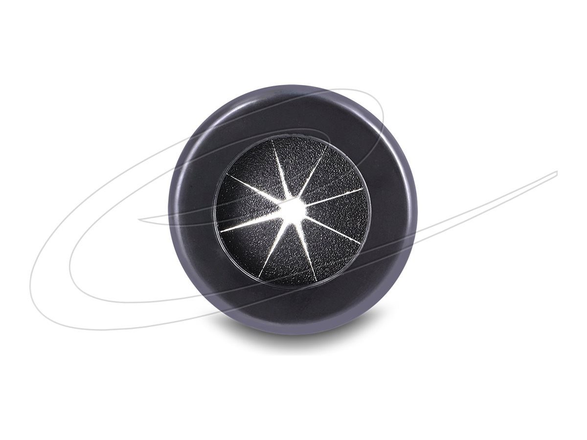 Delock Netzwerk-Panel