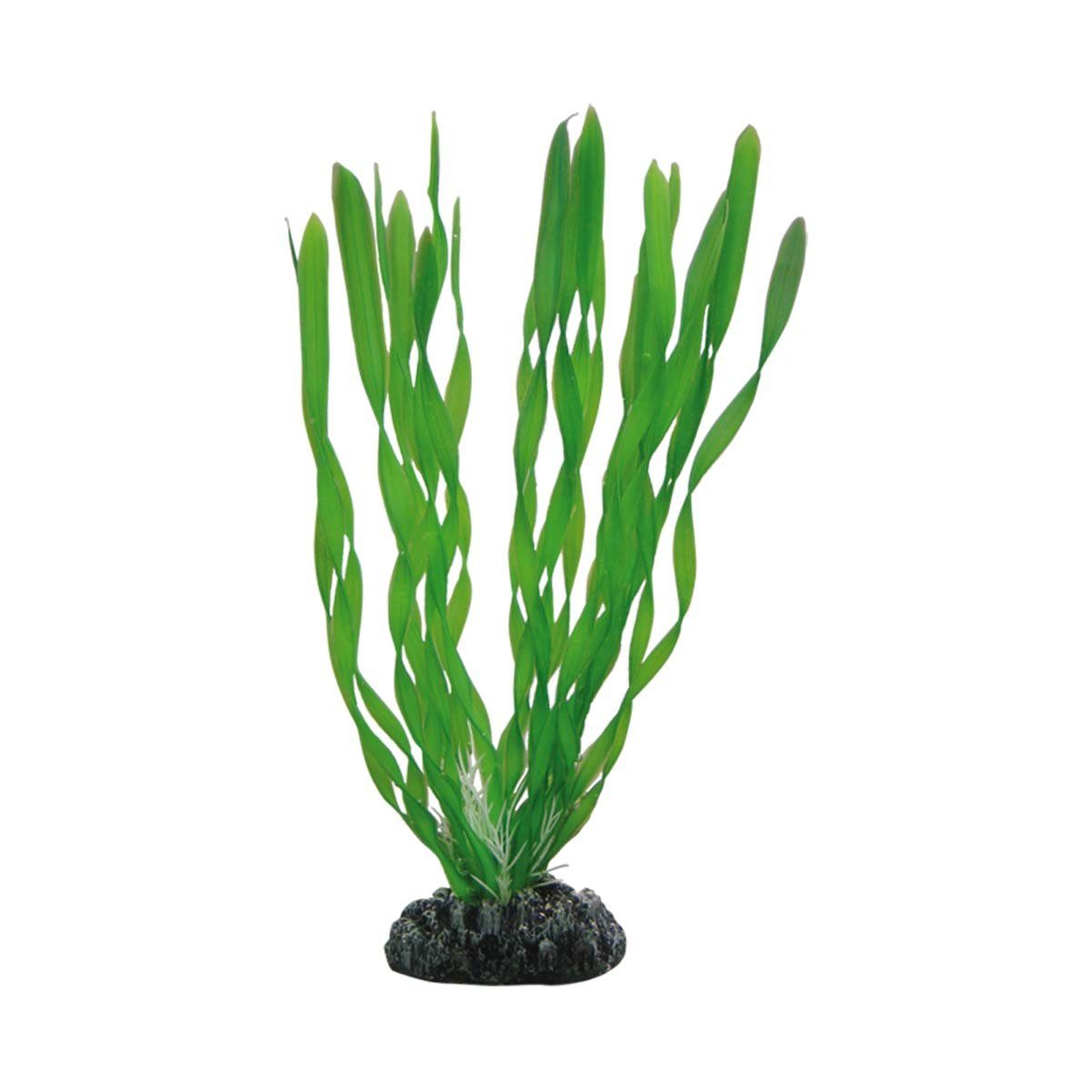 HOBBY Аквариумыdeko Vallisneria, 20 cm Kunststoffpflanze für Аквариумы