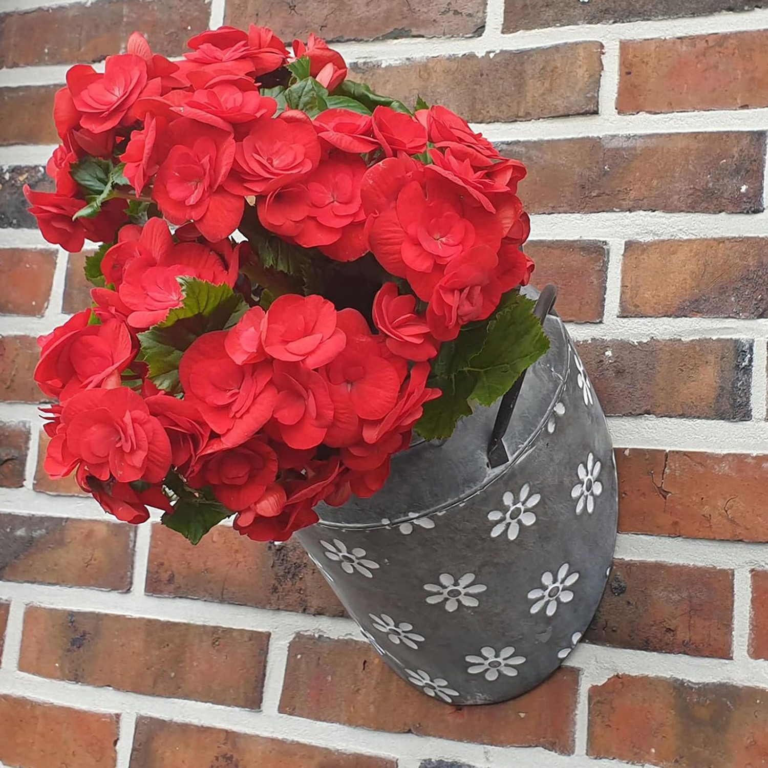 Fachhandel Plus Blumentopf Wand Blumentopf Metall, günstig online kaufen
