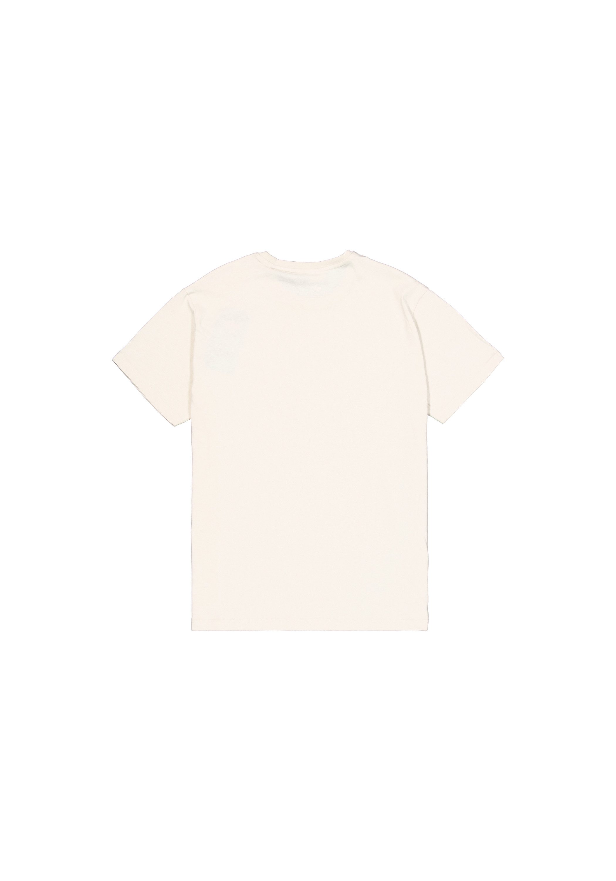 Alpha Industries T-Shirt Basic T-Shirt BL Carbon günstig online kaufen