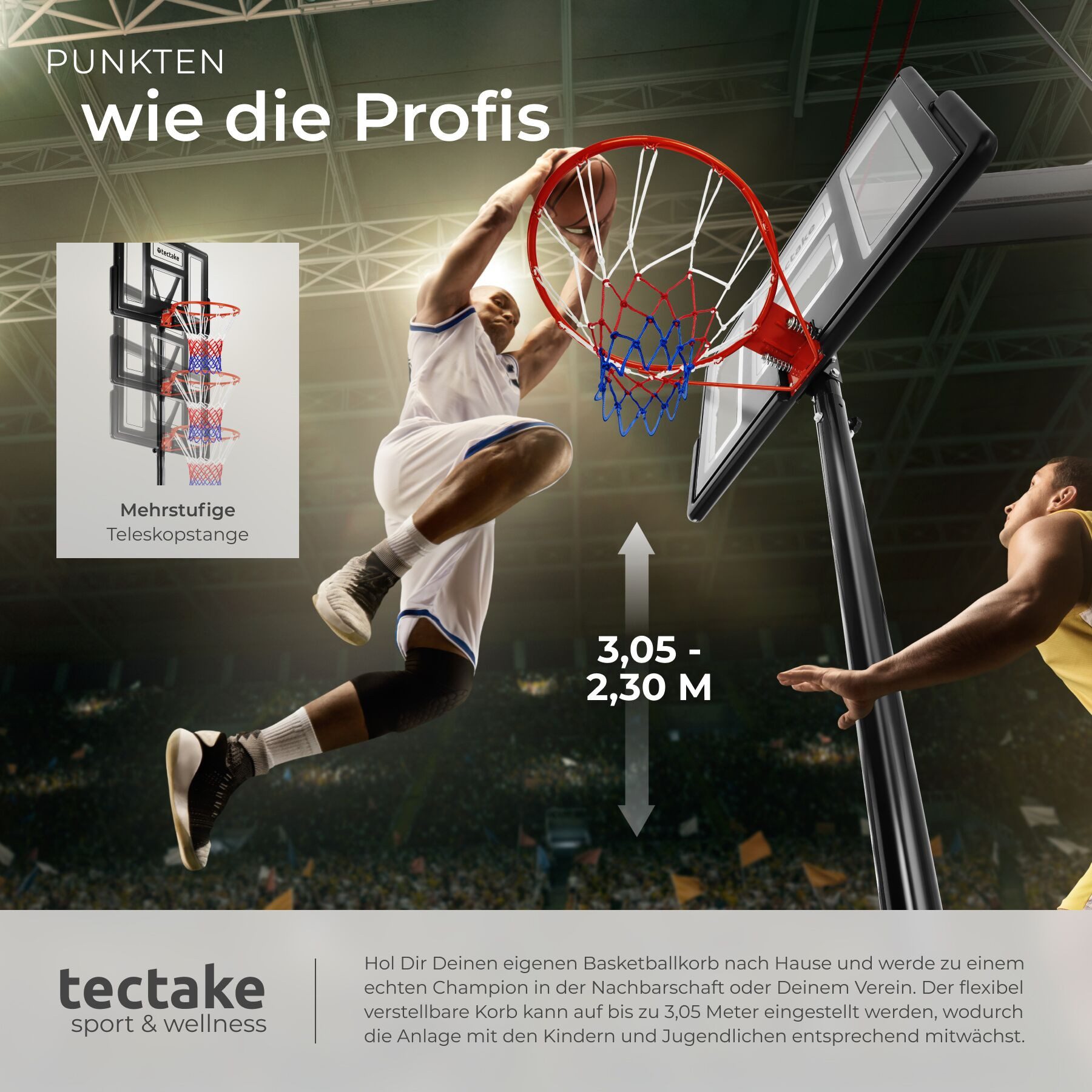 tectake Basketballkorb Basketballanlage Dirk, Korbhöhe 230 - 305 cm, mit Ball & Pumpe (Komplettset, Korbanlage inkl. Basketball, Luftpumpe und 2 Netze), Basketballanlage mit höhenverstellbaren Korb