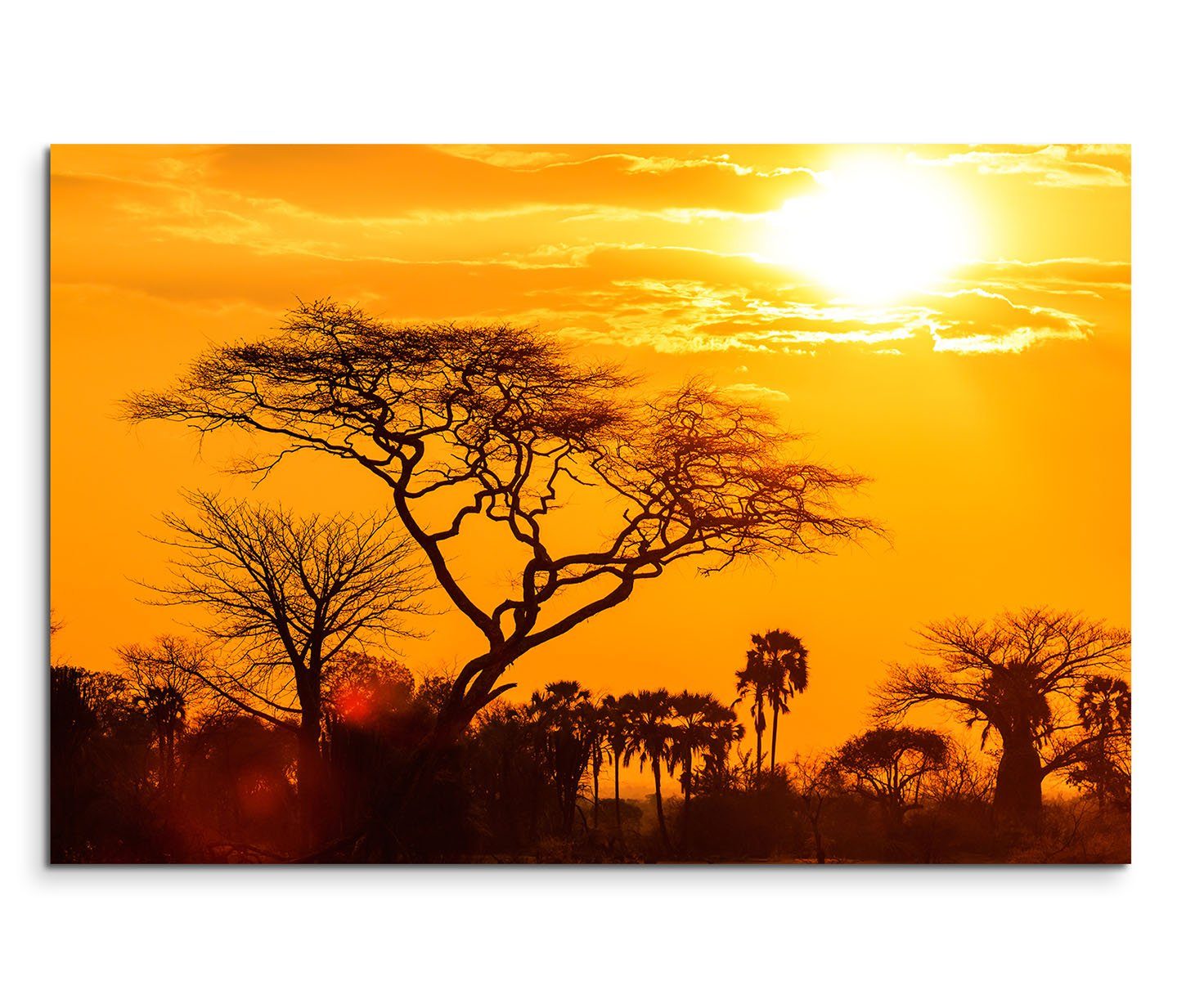 Sinus Art Leinwandbild 120x80cm Wandbild Afrika Bäume Savanne Sonnenuntergang