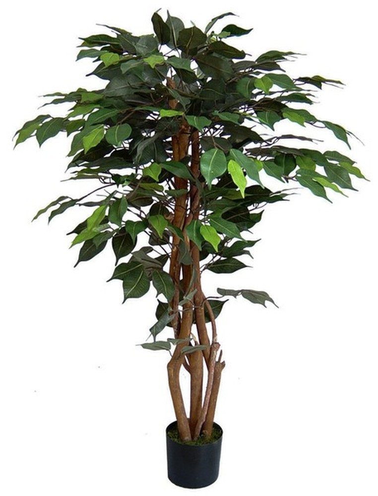 Kunstbaum Ficus Excotica 120cm DA Kunstbaum Baum Kunstpflanzen künstliche B günstig online kaufen