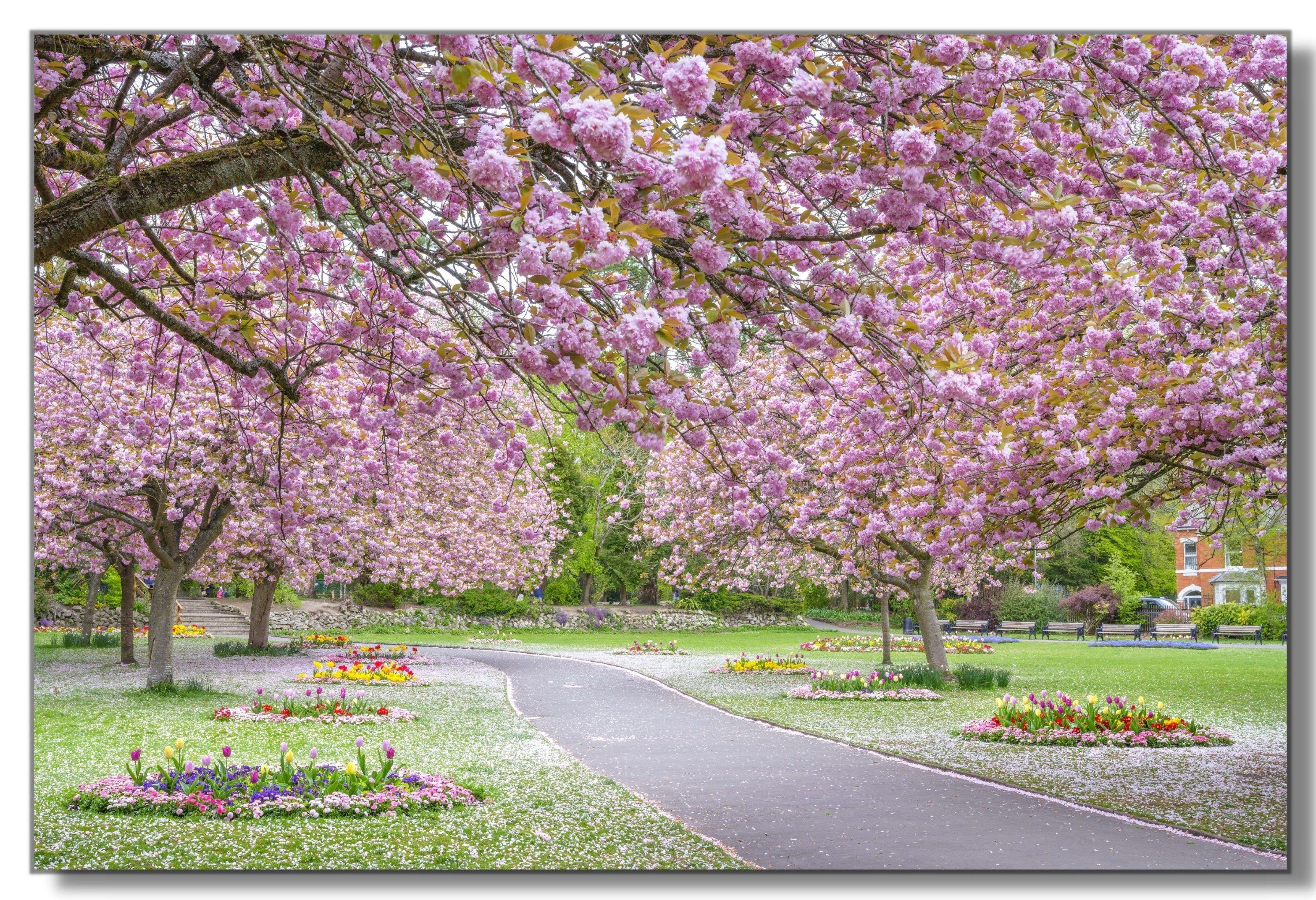 Victor (Zenith) Acrylglasbild Acrylglasbild \"Blüten im Park\" - Größe: 40 x 60 cm, Landschaften, in 40x60 cm, Glasbilder Blumen, Wohnzimmer & Schlafzimmer