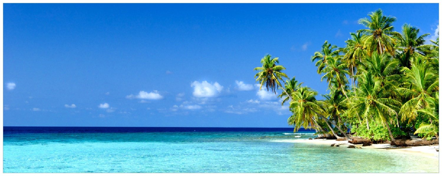 Wallario Memoboard Blauer Himmel weißer Strand Palmen und das tiefblaue Meer