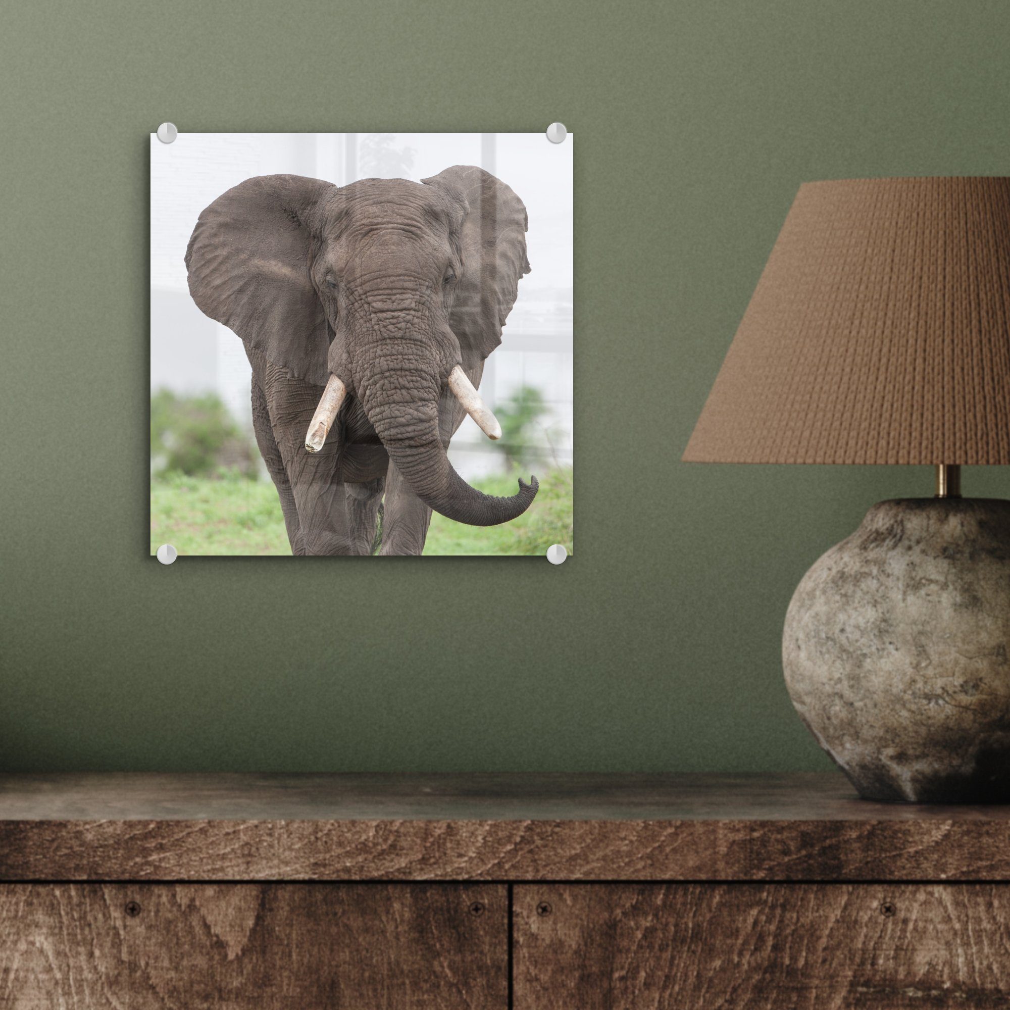 Natur, Acrylglasbild - auf Foto Wandbild Glasbilder - Gras - MuchoWow (1 - - Glas St), Glas Wanddekoration - Bilder Tiere Elefant auf