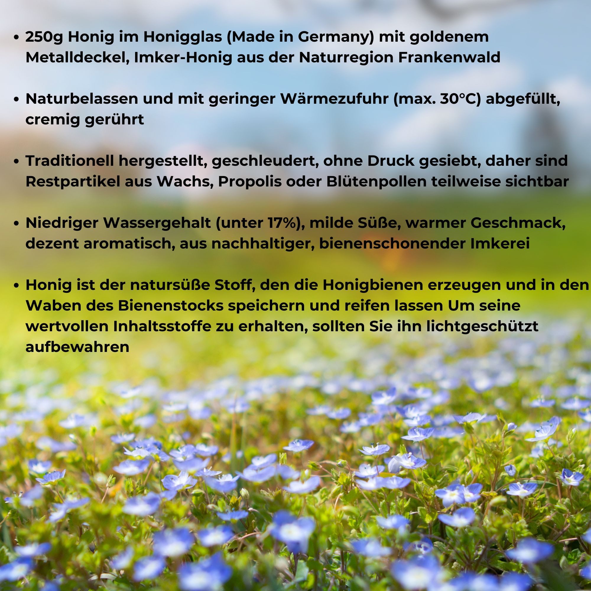 BIENEN SCHMIDT Honig "SOMMERTRAUM" 250 g im Glas, 12 x 250 g, (Spar-Set), Sommerblütenhonig aus Oberfranken, rein und natürlich, deutscher Honig