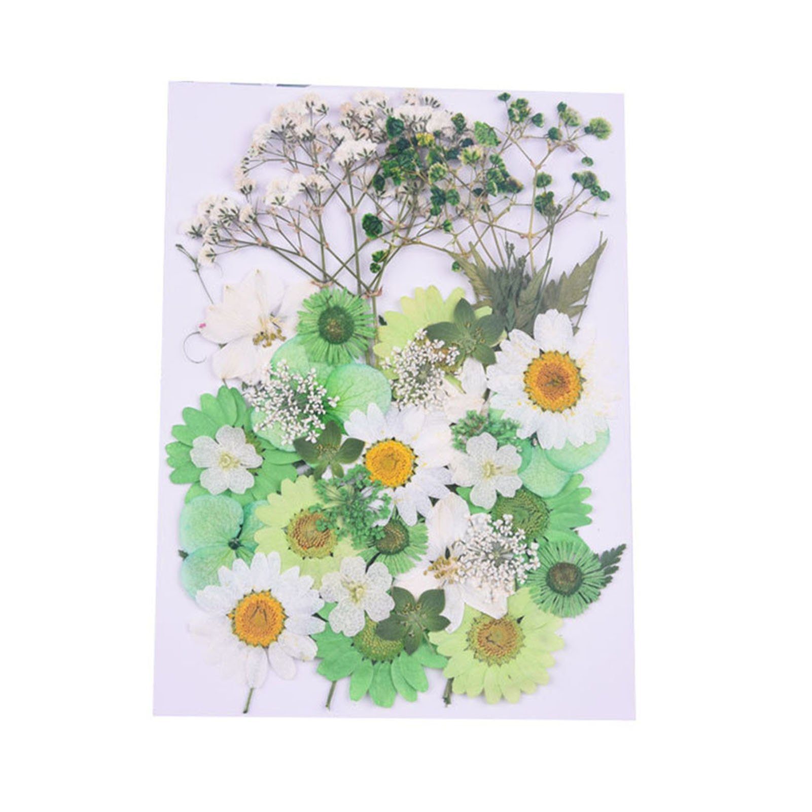 Trockenblume Trockenblumen-Set Zum Selbermachen, Gepresste Blumen, Getrocknetes, Blusmart green white