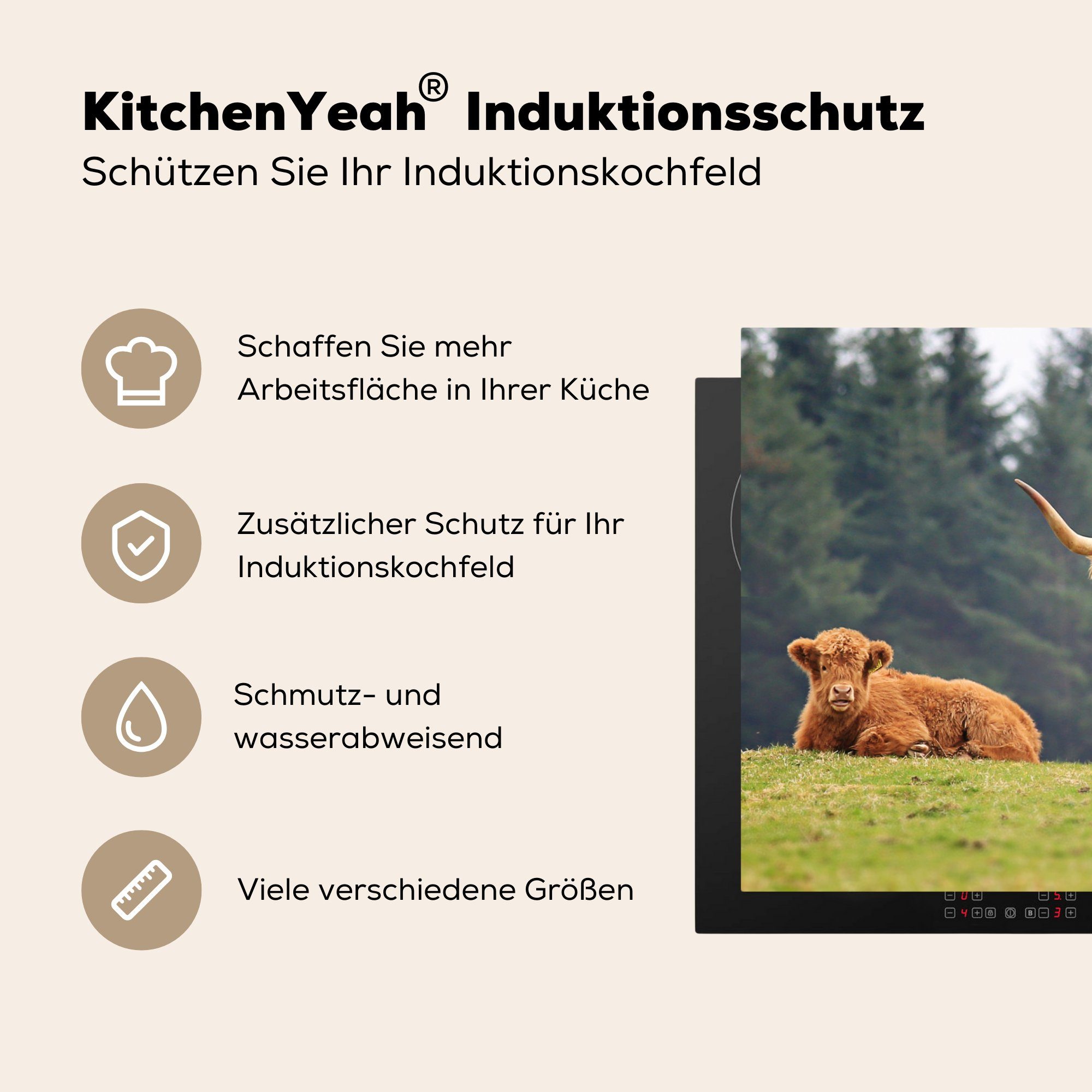 MuchoWow Herdblende-/Abdeckplatte Schottische - - cm, die für küche, Induktionskochfeld (1 Kuh, Schutz Schottische Highlander Kalb 81x52 Ceranfeldabdeckung tlg), Vinyl