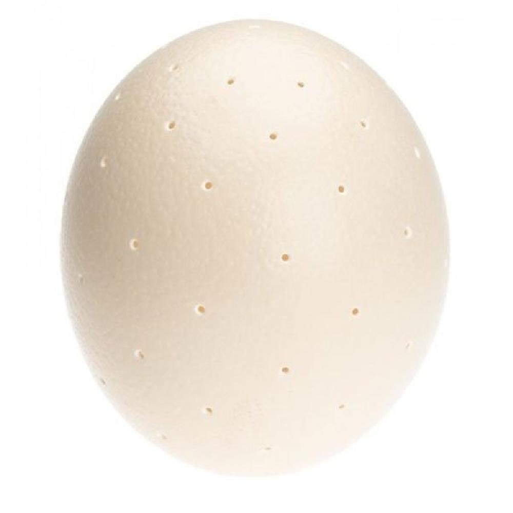 Lambert Lampenschirm Ersatz Straußenei für Emu Tischlampe günstig online kaufen