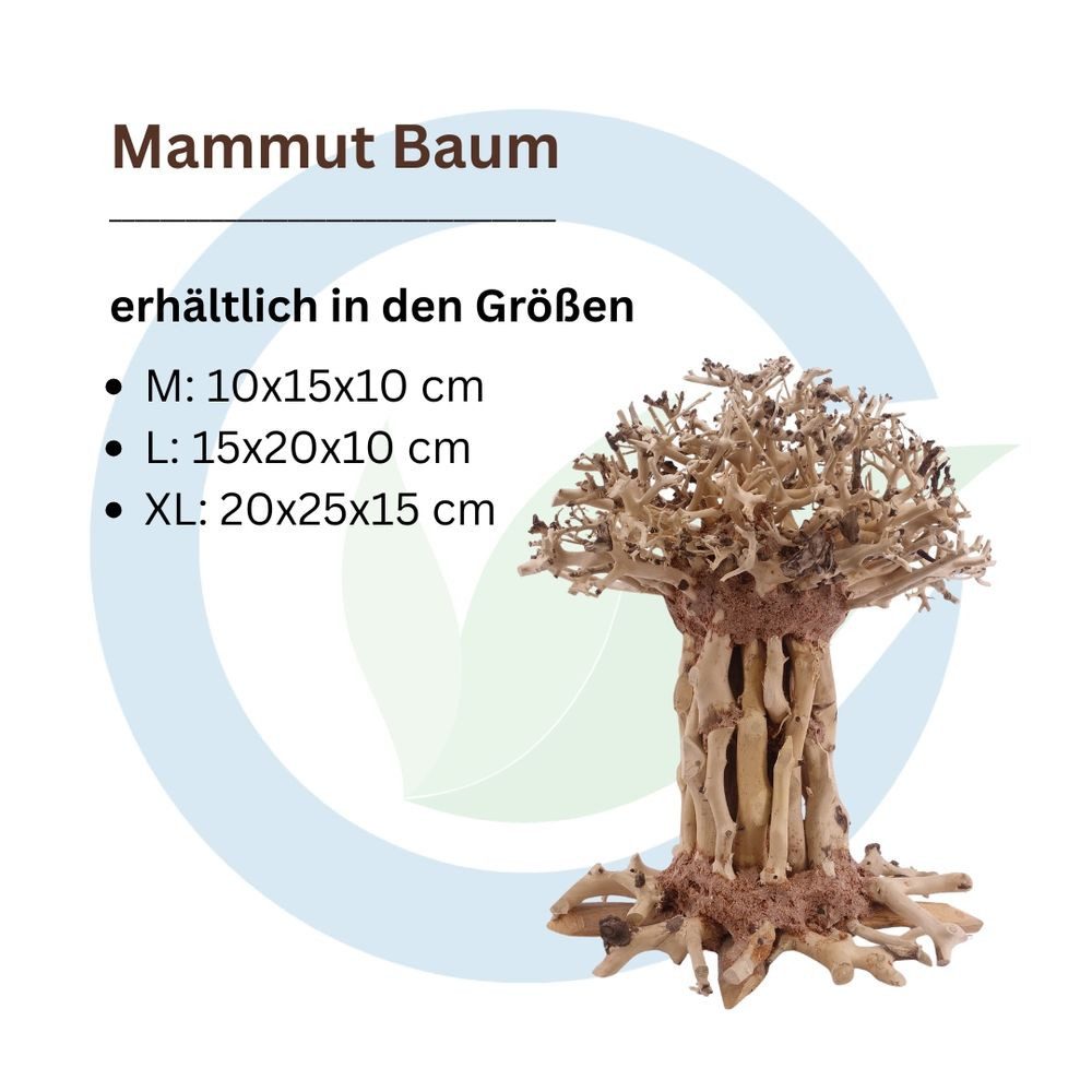 Aquaone Aquarium Bonsai Mammut Baum XL 20x15x25 Wurzel Holz Aquarium Deko Aquascaping