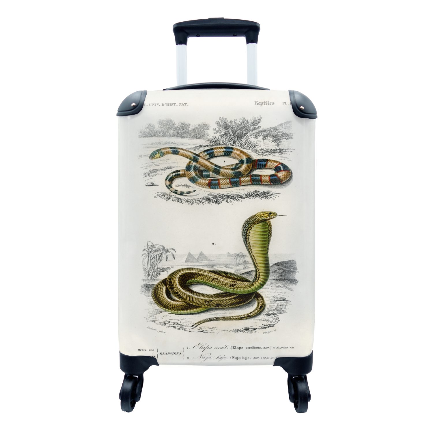 MuchoWow Handgepäckkoffer Schlange - Jahrgang - Reptilien, 4 Rollen, Reisetasche mit rollen, Handgepäck für Ferien, Trolley, Reisekoffer