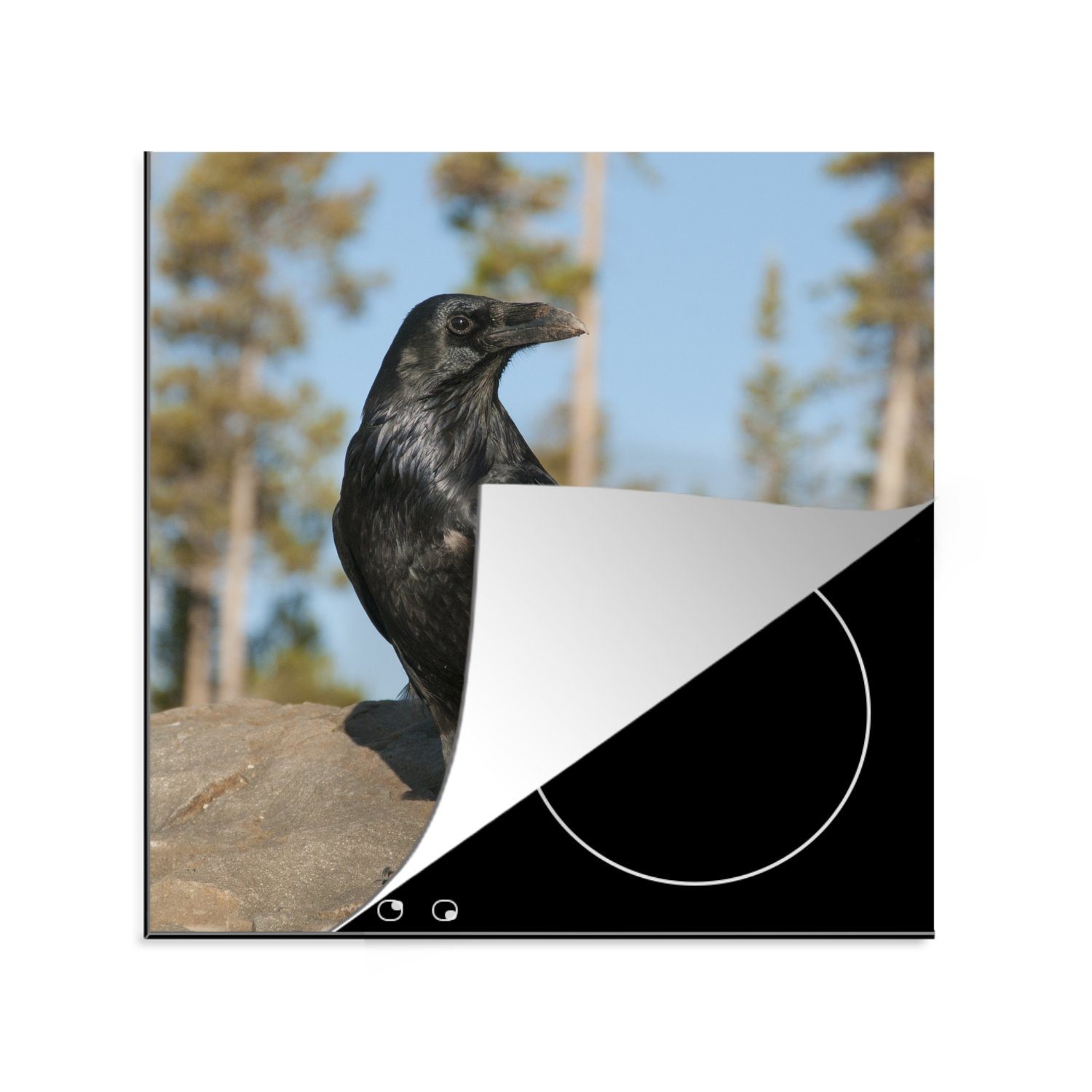 MuchoWow Herdblende-/Abdeckplatte Ein schwarzer Rabe mit Ceranfeldabdeckung, für (1 tlg), auf cm, Arbeitsplatte Schnabel, seinem Vinyl, küche 78x78 Schlamm