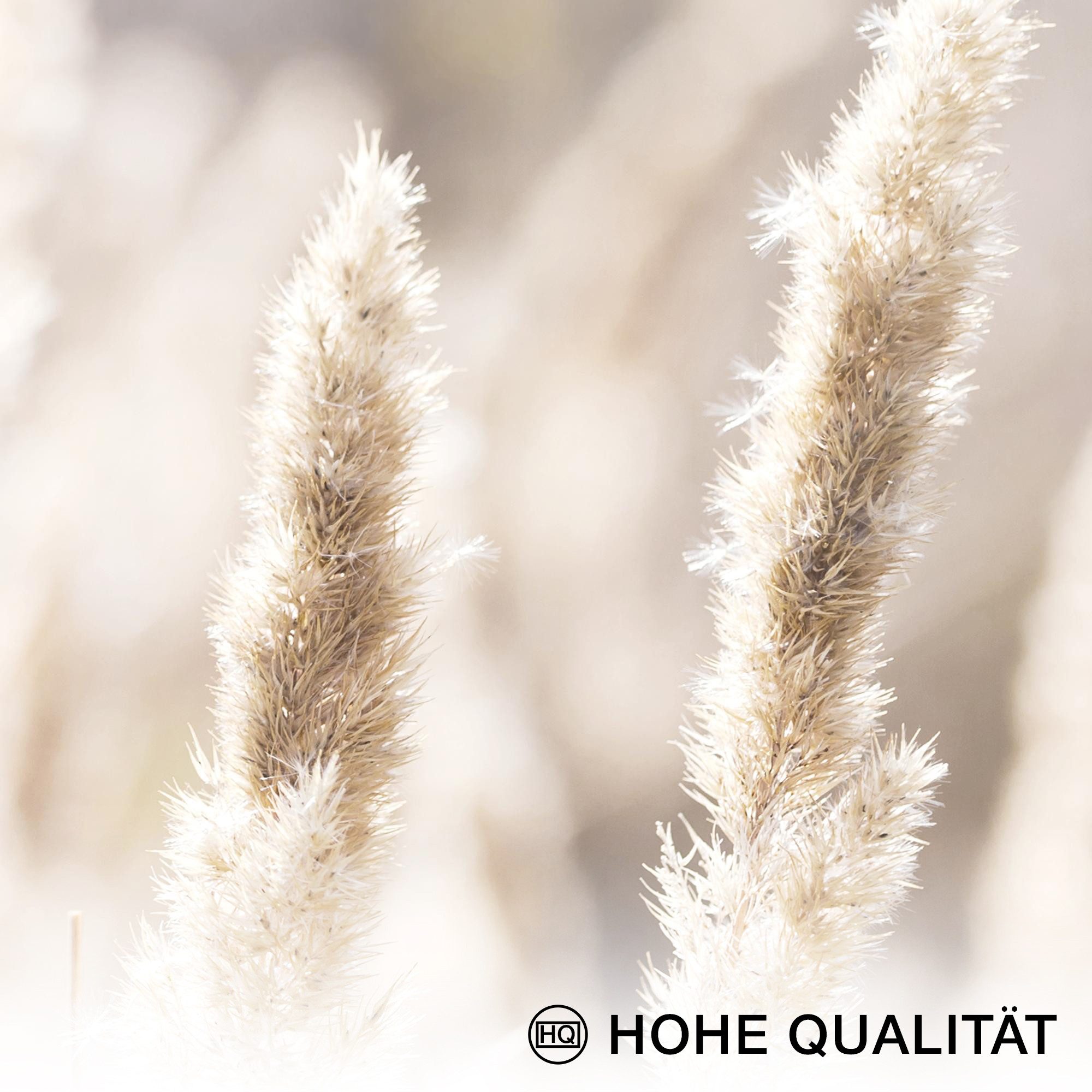 Novart Wandbild Wandbilder Wohnzimmer Boho Natur AUFHÄNGFERTIG 100x70 cm, Love 9 Bilder 20x25 cm, made in Germany, Wohnzimmer Schlafzimmer Deko, Landhaus, Bohemian