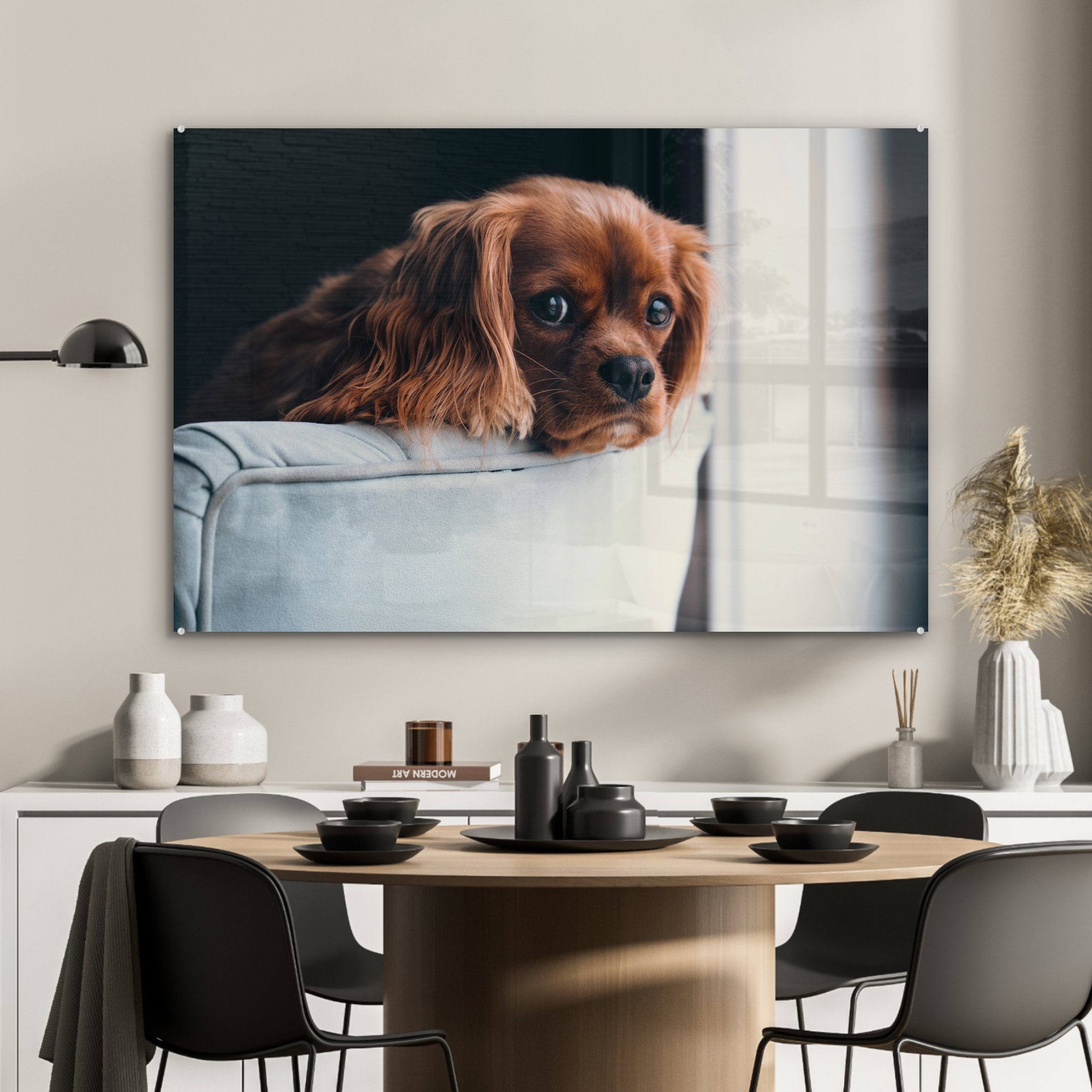 Kopf, Hund St), MuchoWow & - Acrylglasbild Wohnzimmer Schlafzimmer Stuhl (1 Acrylglasbilder -