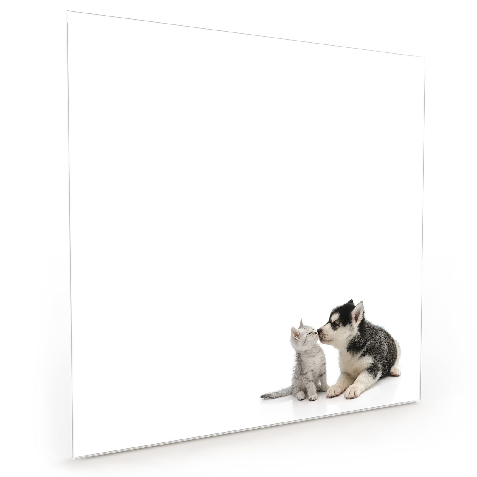 Motiv Hund Primedeco Küchenrückwand Spritzschutz Küchenrückwand küsst Glas Katze mit