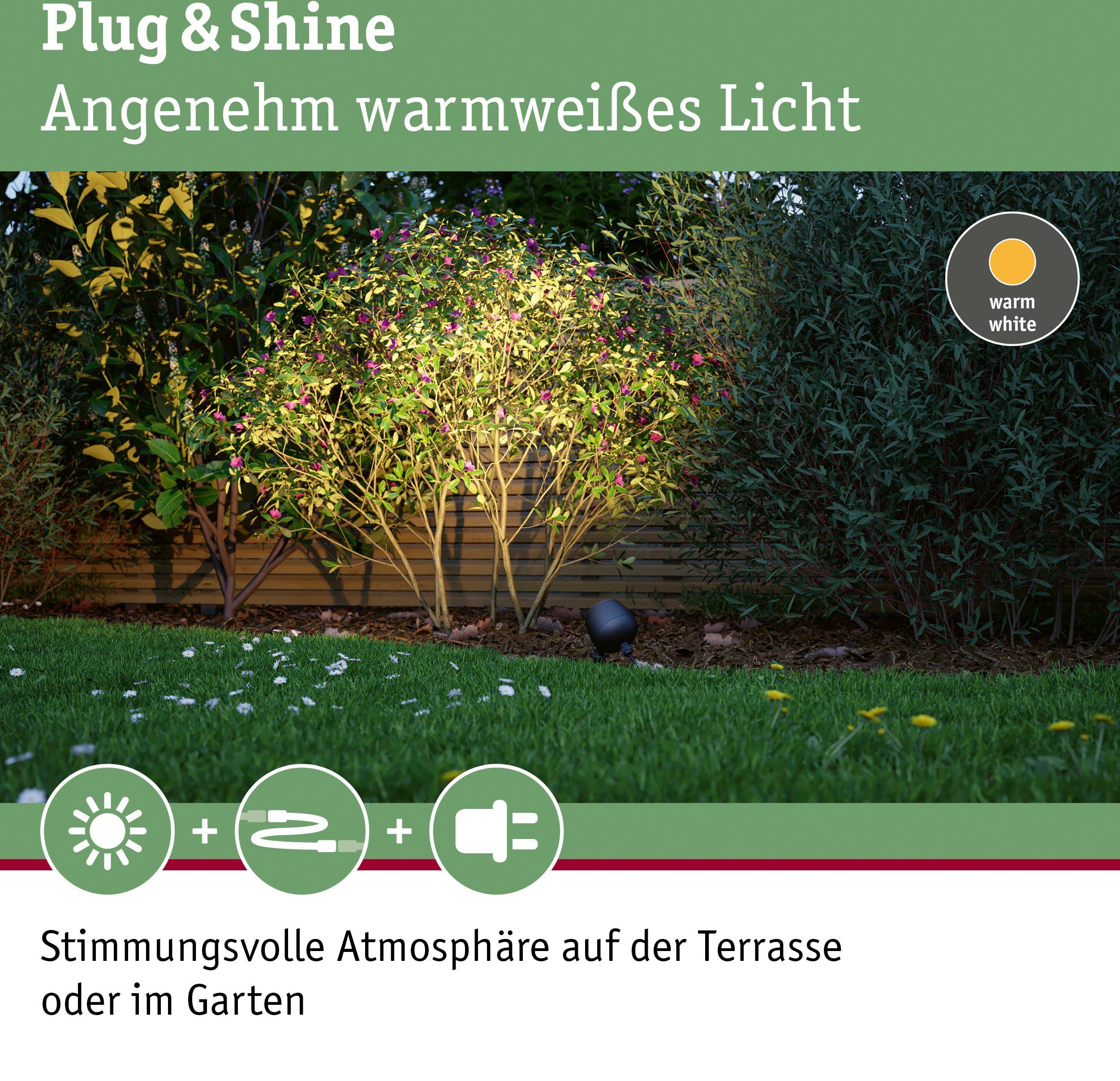 Paulmann LED 20° Kikolo Plug & & Kikolo fest Outdoor anthrazit, LED Gartenleuchte integriert, Shine 20° Spot Plug 3000K Spot Shine 3000K Warmweiß, Outdoor anthrazit