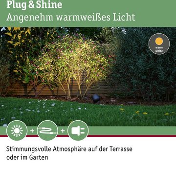 Paulmann LED Gartenleuchte Outdoor Plug & Shine Spot Kikolo 20° 3000K anthrazit, LED fest integriert, Warmweiß, Outdoor Plug & Shine Spot Kikolo 20° 3000K anthrazit
