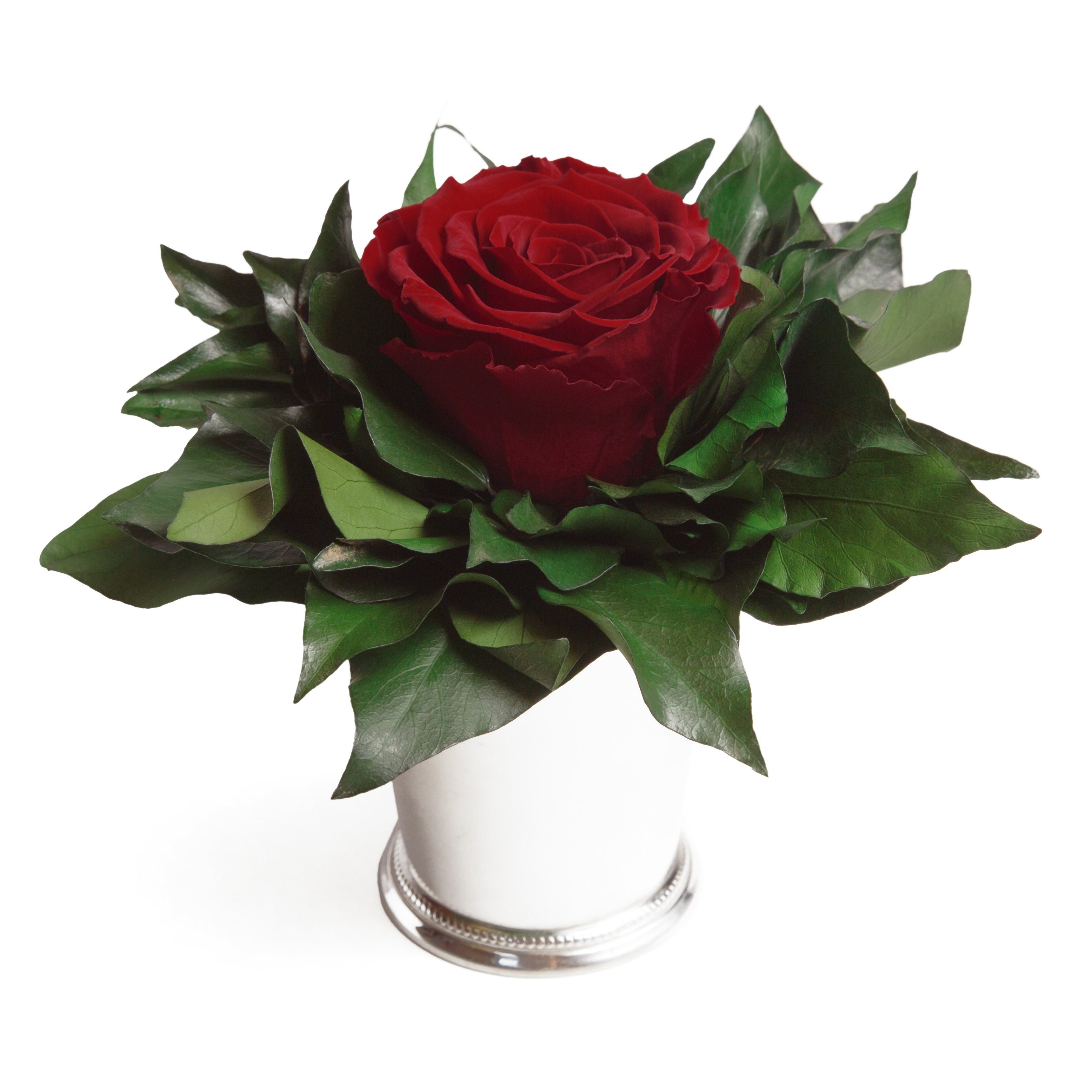 Kunstblumenstrauß Blumengesteck 1 Infinity Rose Becher silberfarben Geschen günstig online kaufen