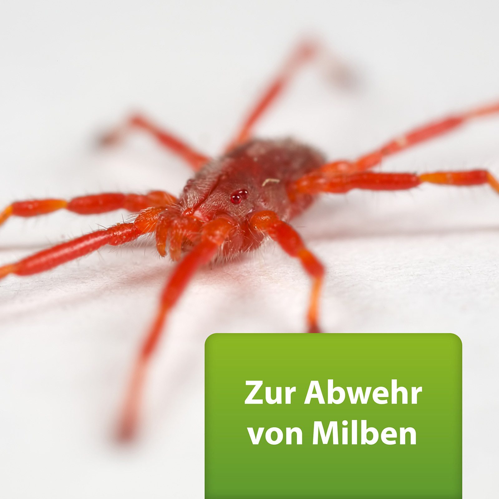 Ardap Insektenspray ARDAP Repell Milbenspray 400 ml