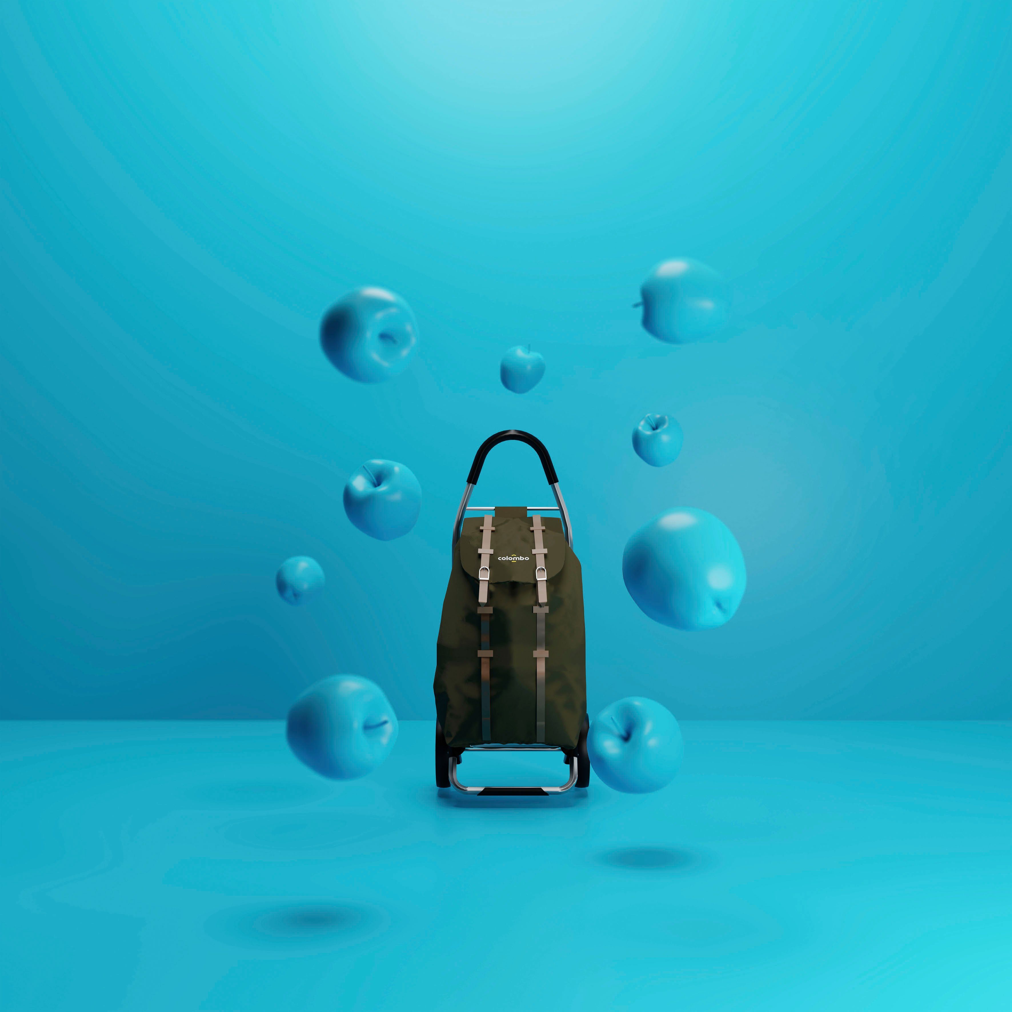 Bischof Einkaufstrolley Rasant, 50 l, wasserdichte Tasche aus Polyester günstig online kaufen