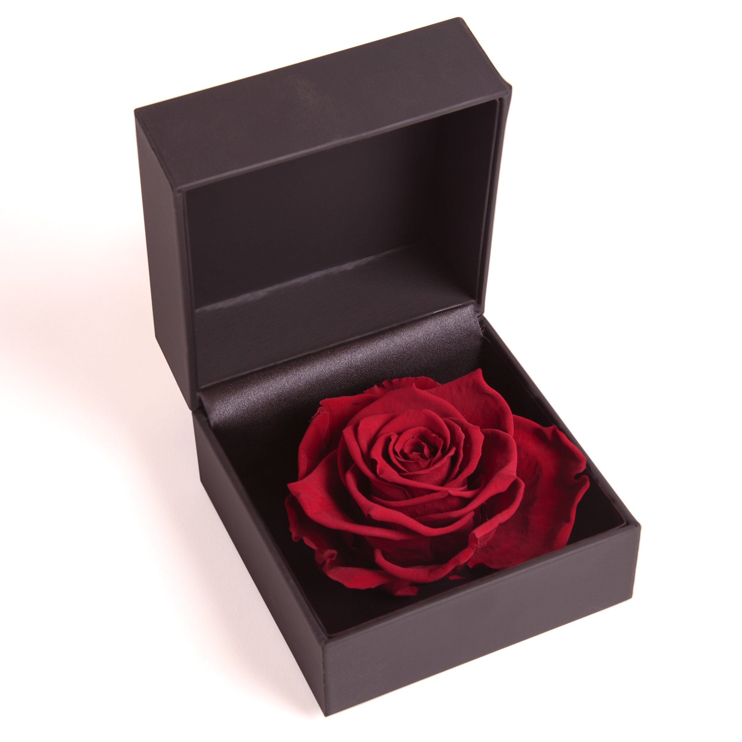 Kunstblume Rosenbox Ringbox Groß Infinity Rose konserviert in Box Ringdose Rose, ROSEMARIE SCHULZ Heidelberg, Höhe 9 cm, Langlebige Rose Bordeaux
