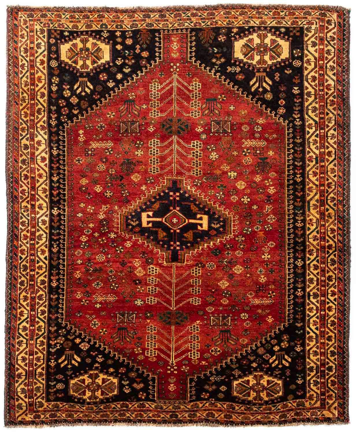 Wollteppich Shiraz Medaillon rechteckig, mm, Höhe: Handgeknüpft morgenland, 164 cm, x 238 1