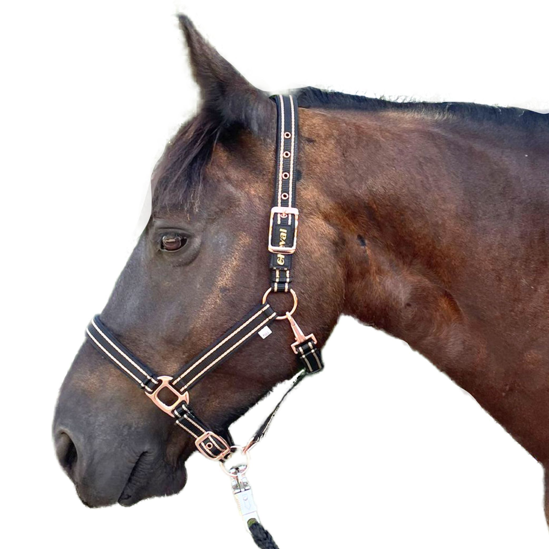 Pferdelinis Halfter Halfter für Pferde Glitzer rosegold, Halfter Pferd, 2-fach verstellbar, 2-fach verstellbar