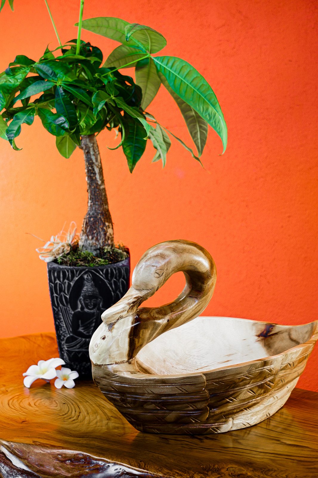 Kinaree Dekoschale Suar Holz Schale Schwan Obstschale, Akazie Massivholz, Handgefertigt, Unikate