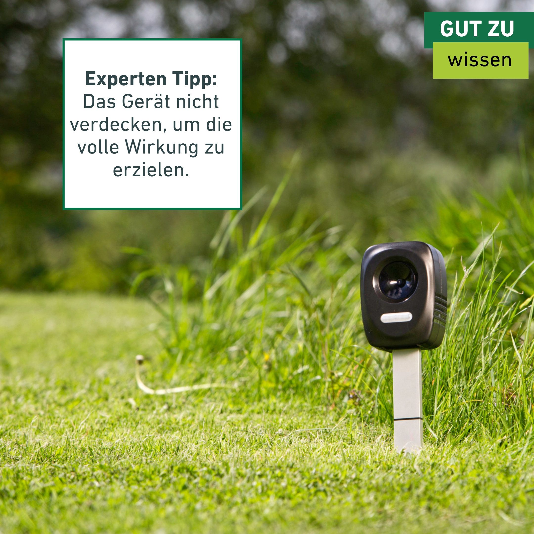 Windhager Ultraschall-Tierabwehr Gerät Outdoor, mit Solar oder Batterie, Tiervertreiber gegen Marder, Waschbären, Wirkungsbereich 40 m²