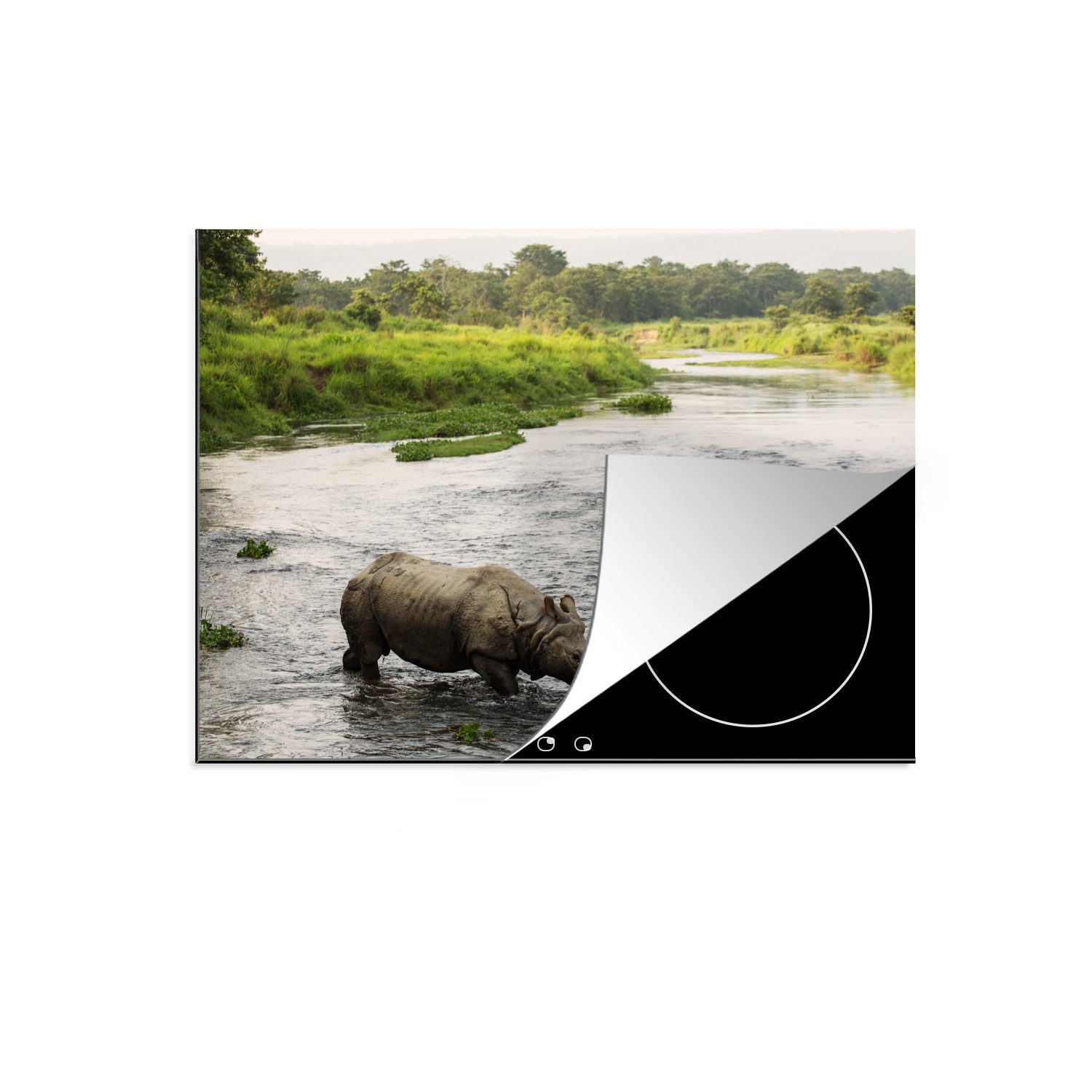 MuchoWow Herdblende-/Abdeckplatte Nashorn im Wasser, Vinyl, (1 tlg), 70x52 cm, Mobile Arbeitsfläche nutzbar, Ceranfeldabdeckung