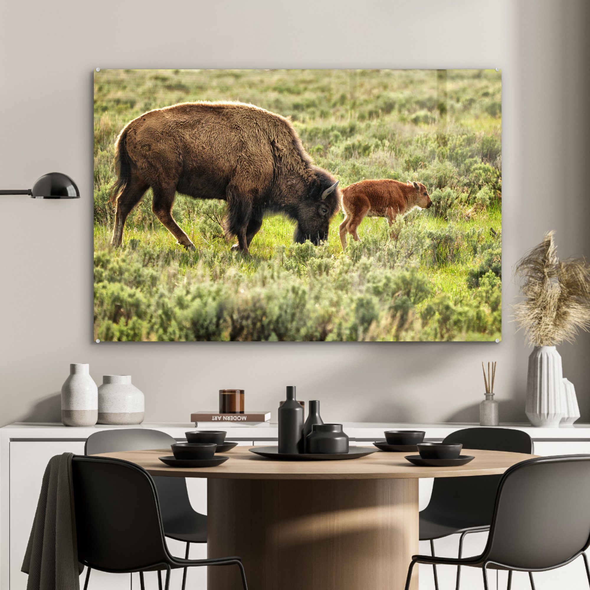 (1 Baby Bison Acrylglasbild in Wyoming, & mit St), Wohnzimmer Schlafzimmer MuchoWow Acrylglasbilder