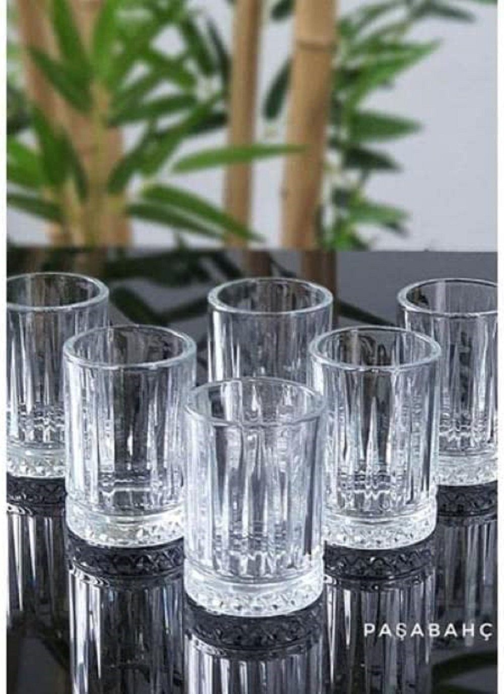 Pasabahce Schnapsglas Elysia Schnapsgläser - 6er Set 110cc Gläser-Set Transparent, 6-tlg.
